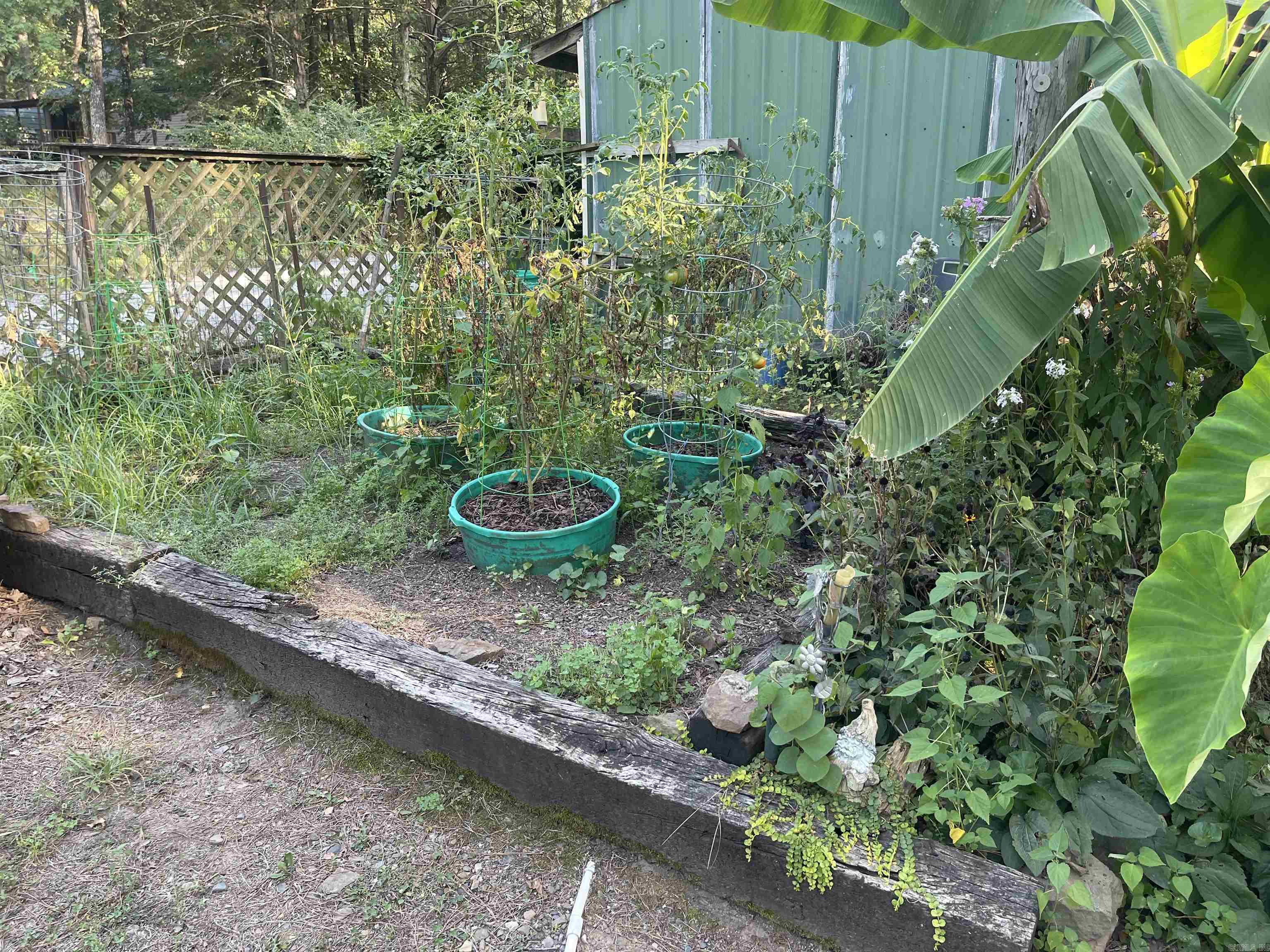 532 Canyon Road  Greers Ferry, AR