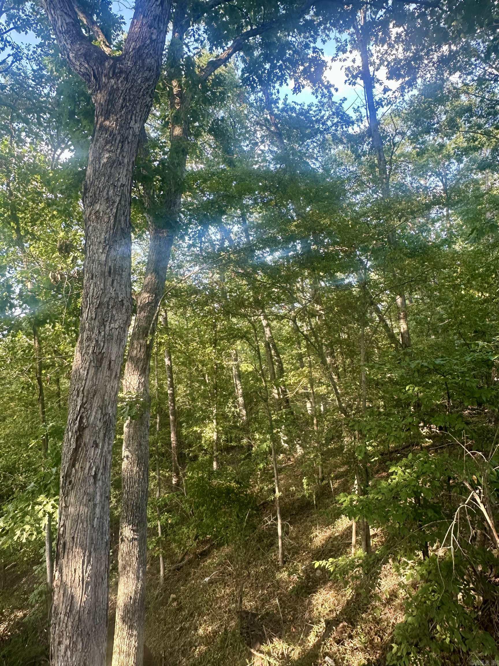 117 Skyline  Hot Springs, AR