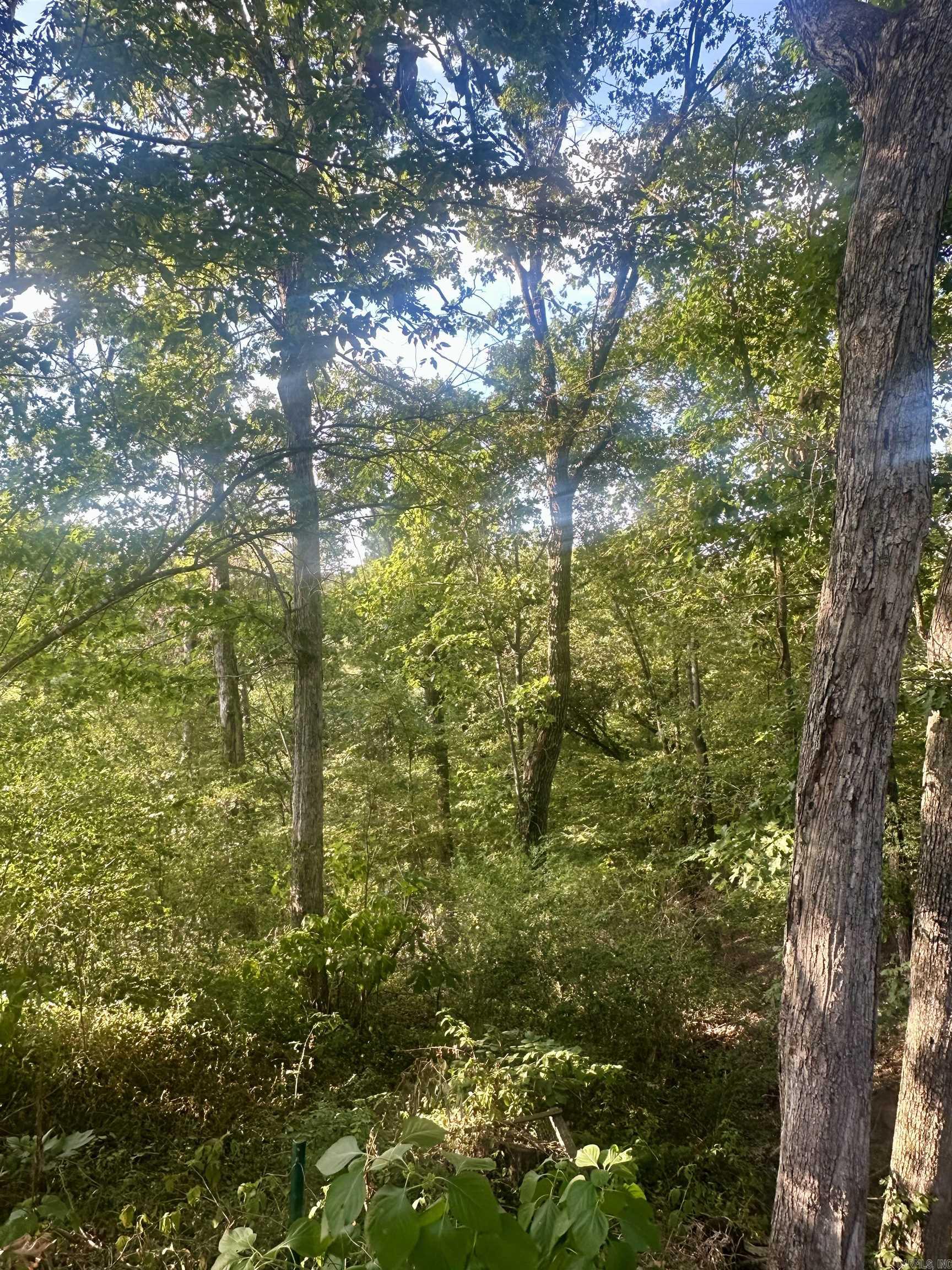 117 Skyline  Hot Springs, AR