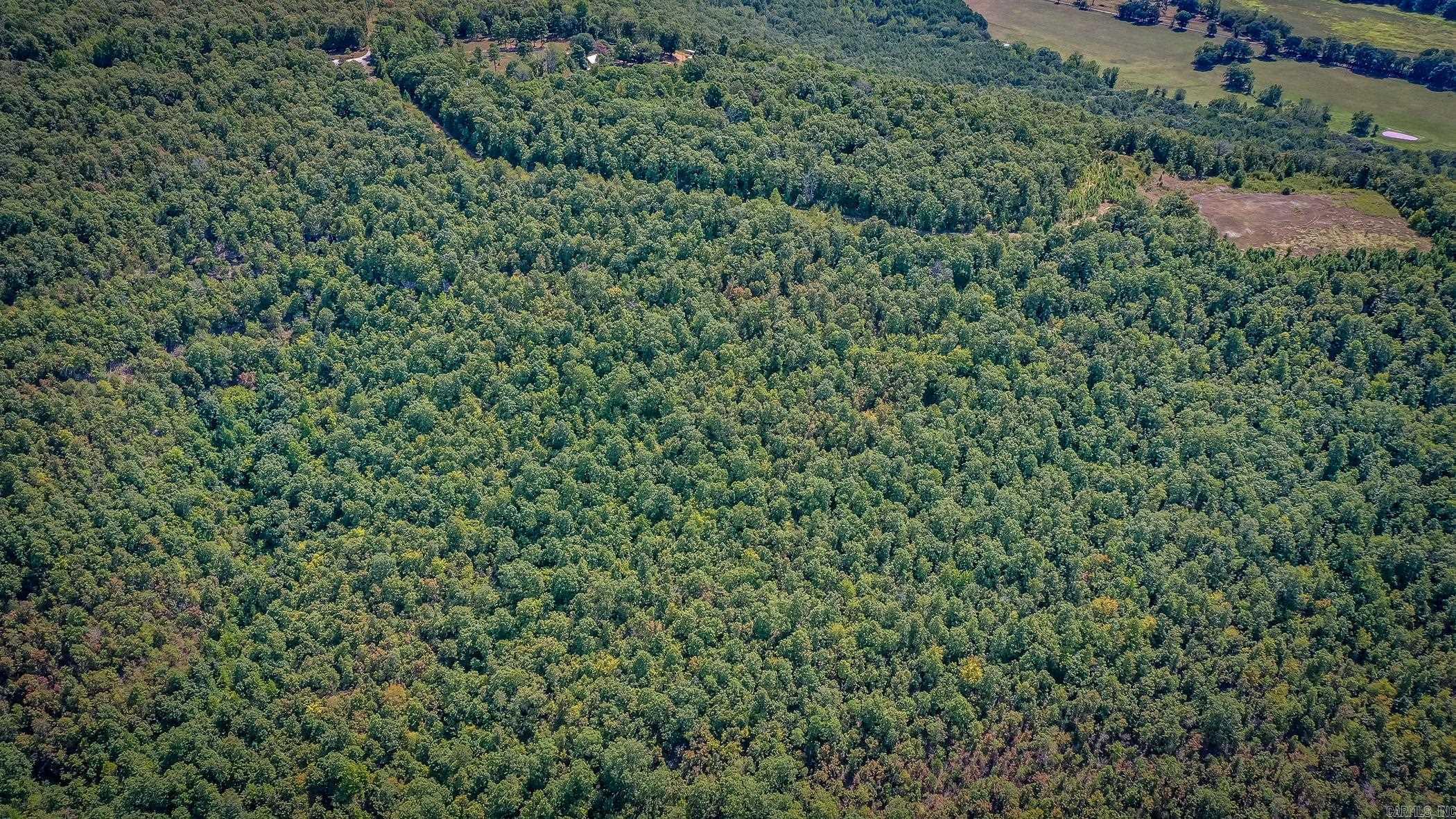 0 Porter  Shirley, AR