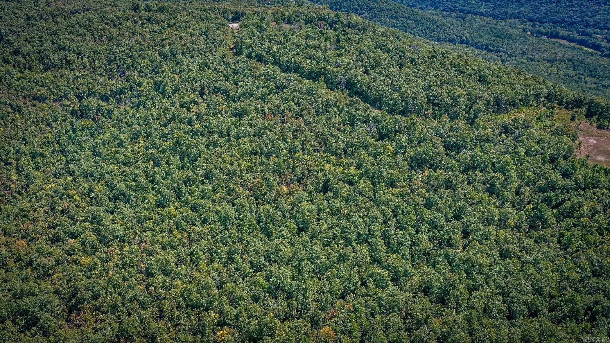 0 Porter  Shirley, AR