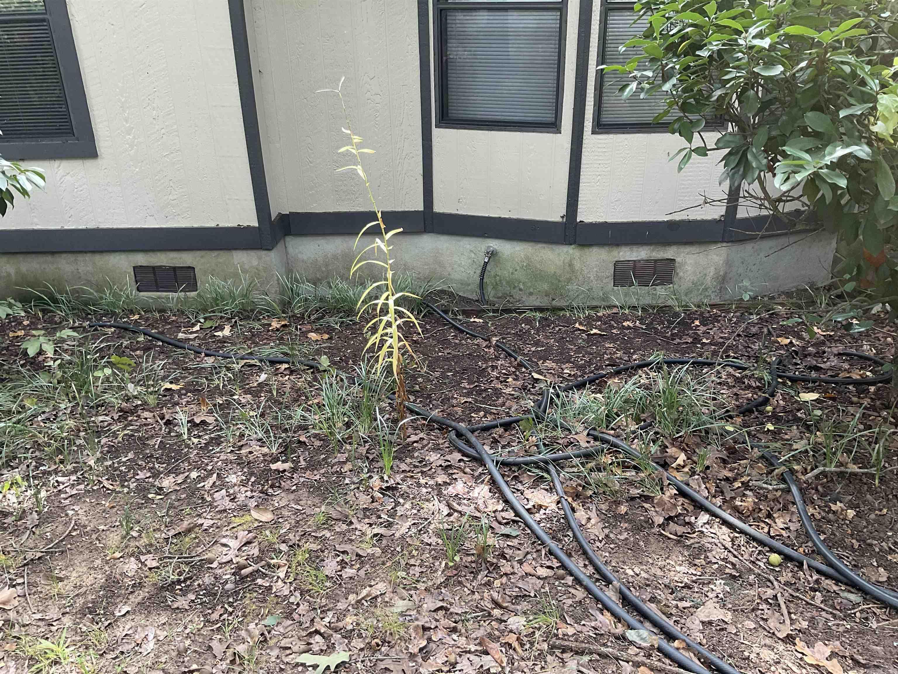 142 Jordan Lane Clinton, AR 72031-0000