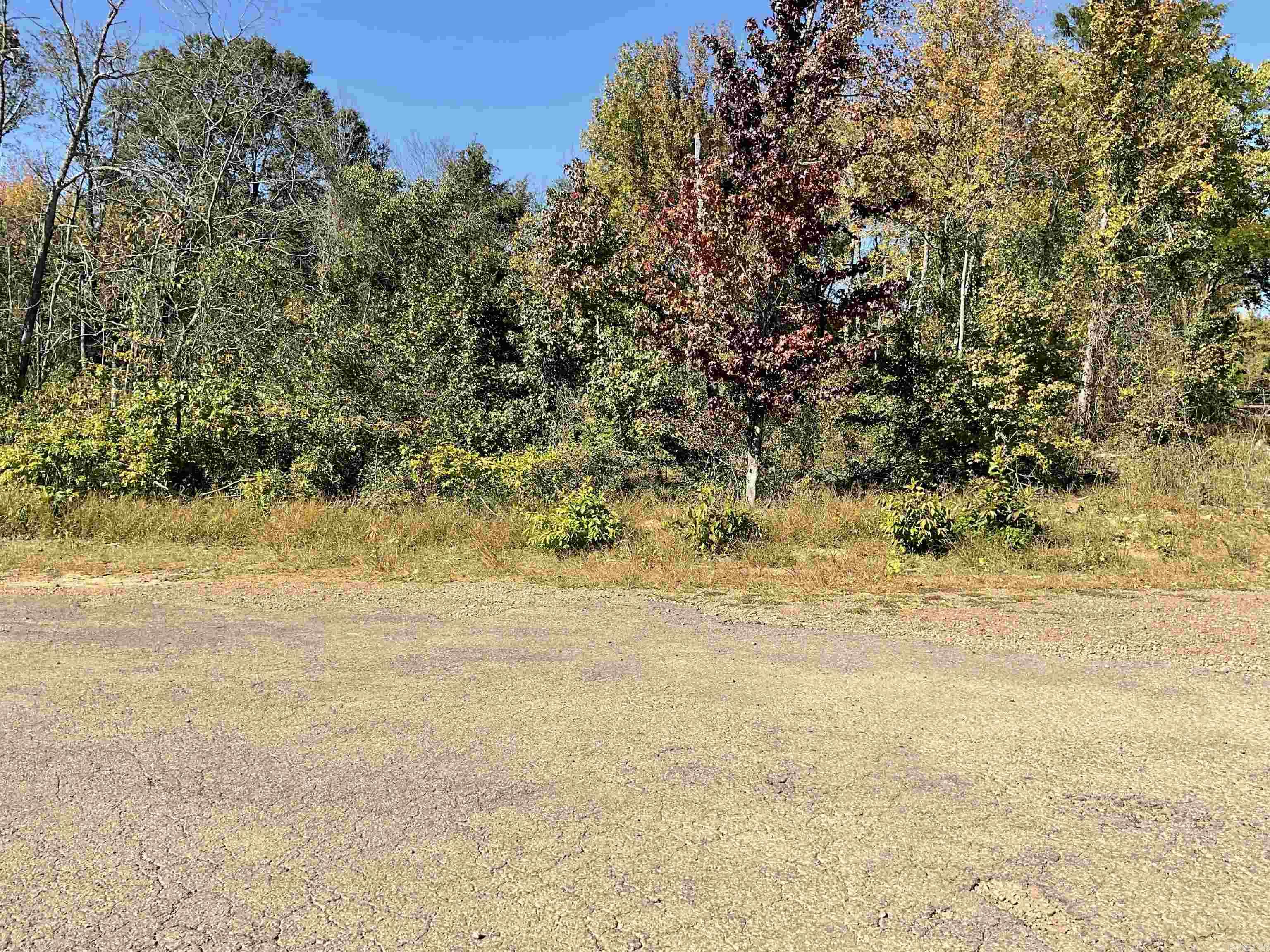 142 Jordan Lane  Clinton, AR