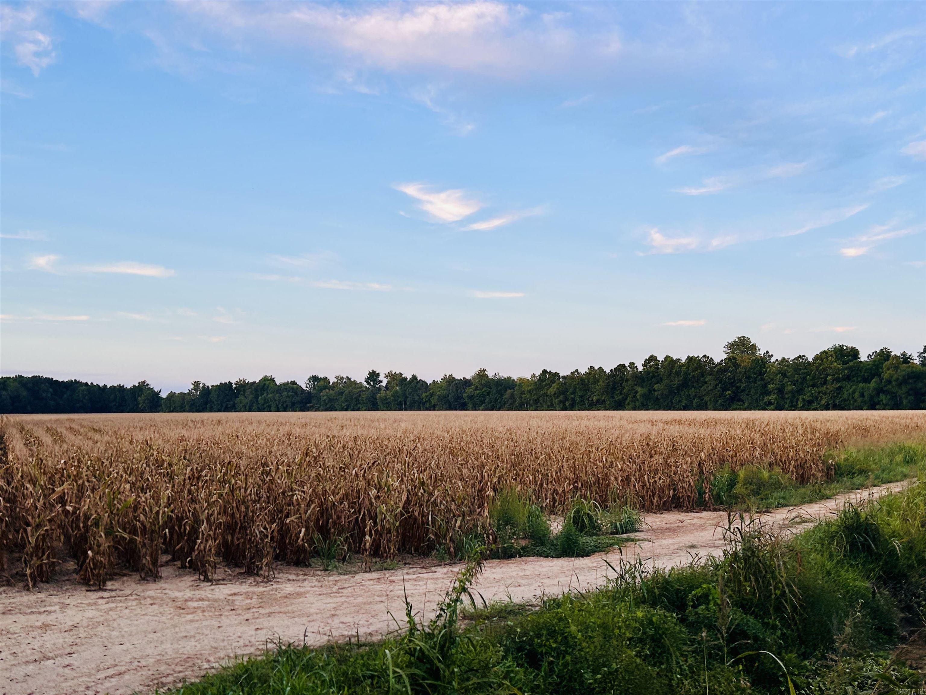 207 CR 478  Rector, AR