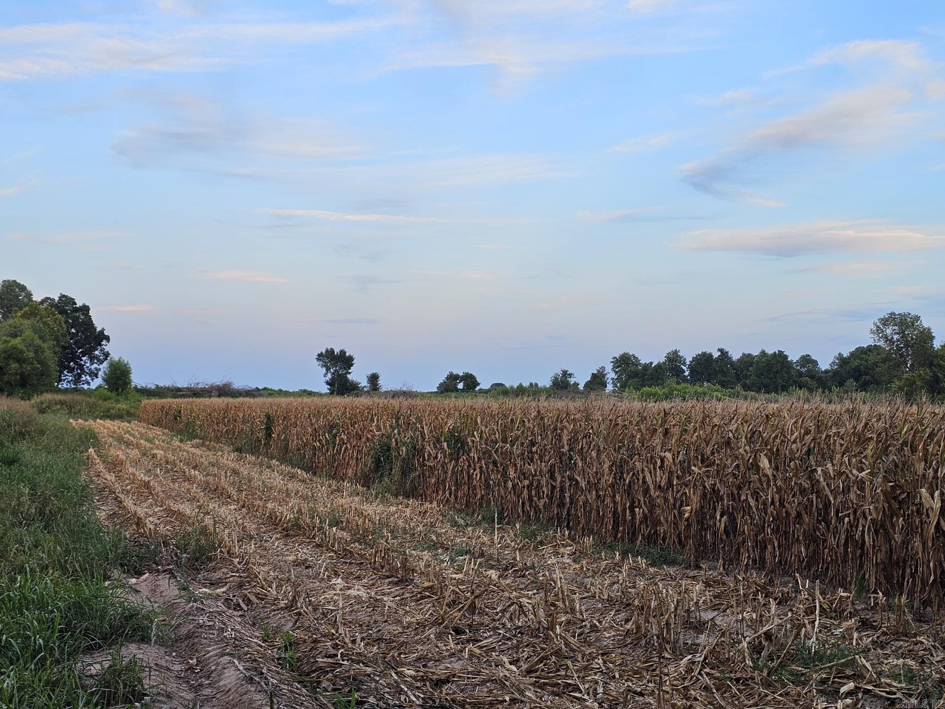 207 CR 478  Rector, AR