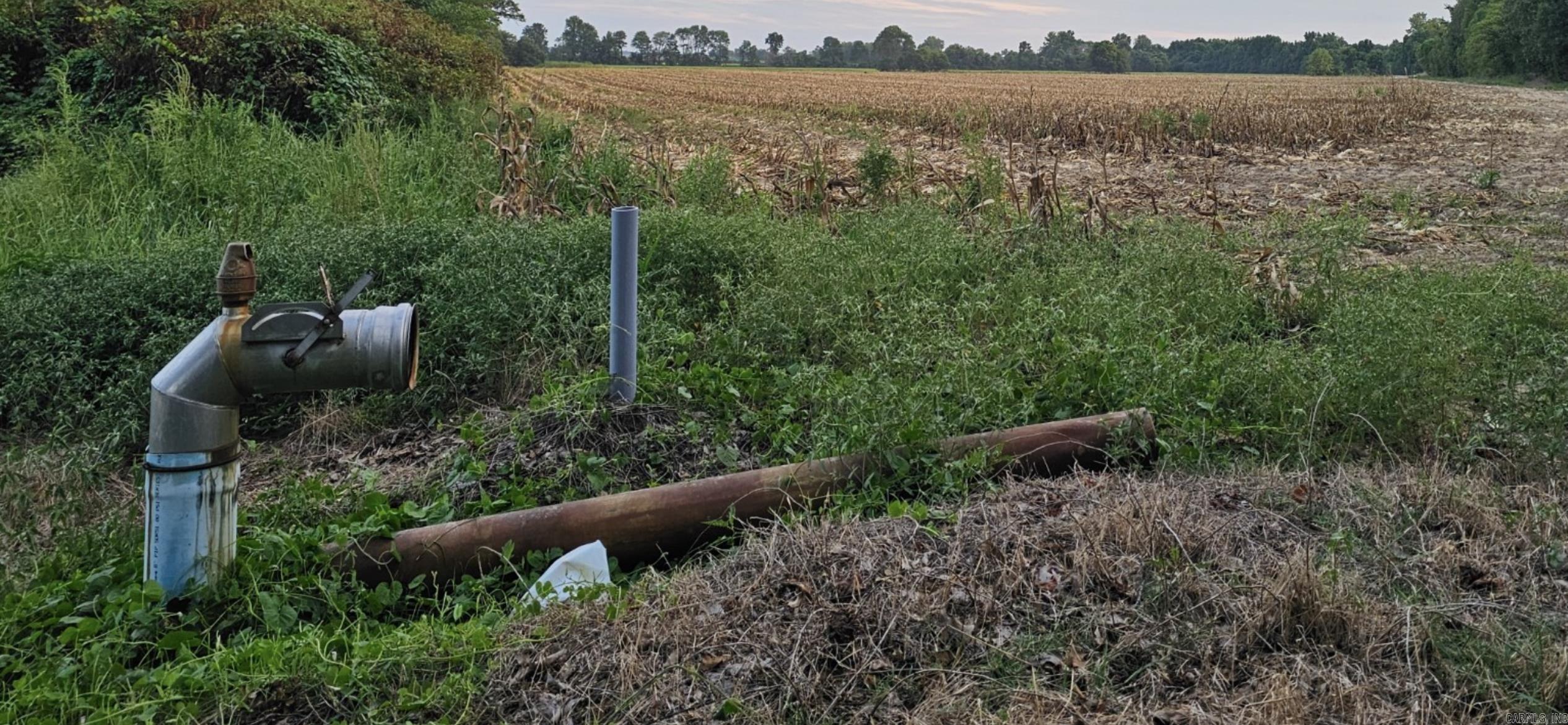 207 CR 478  Rector, AR