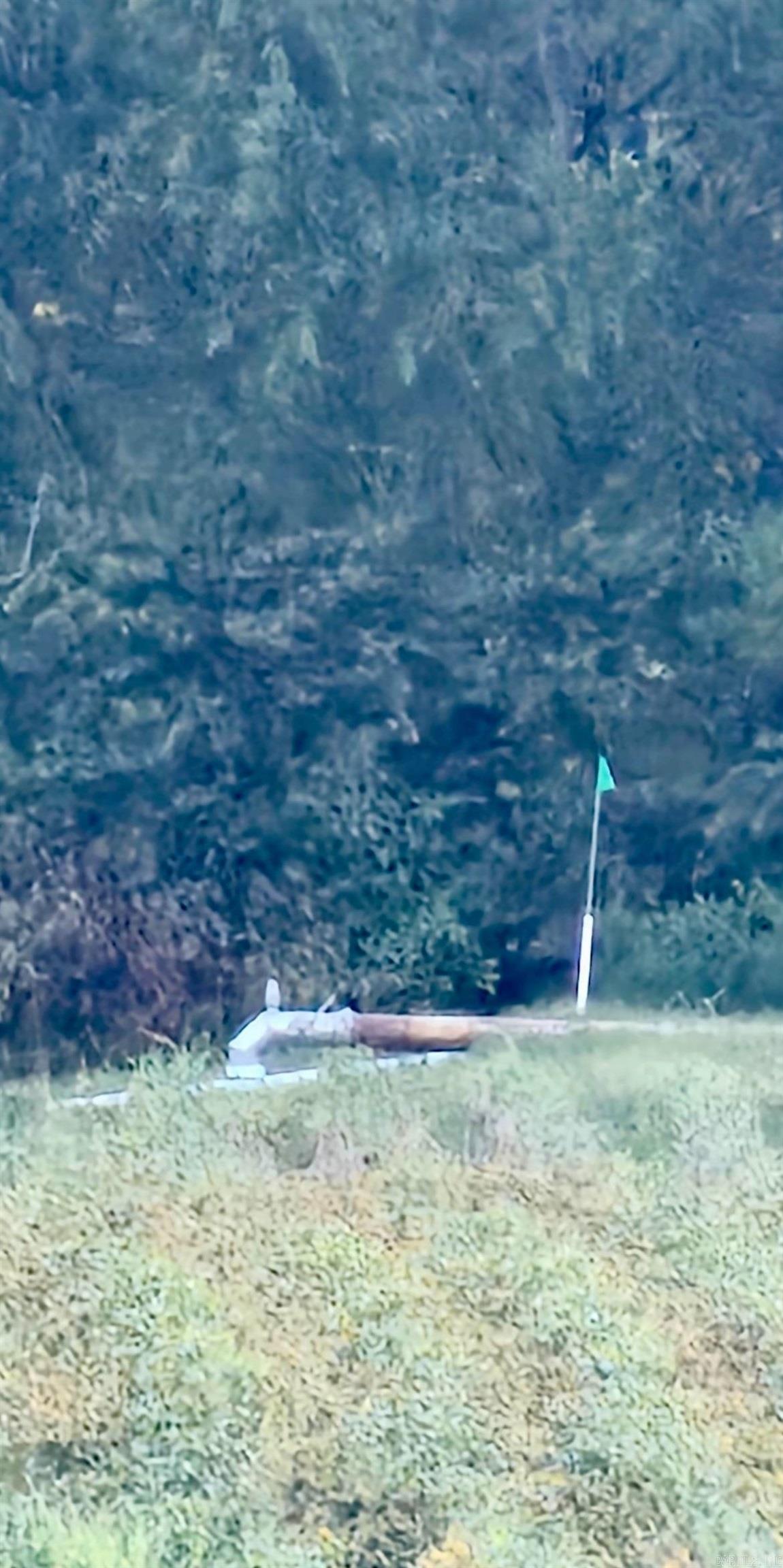 207 CR 478  Rector, AR