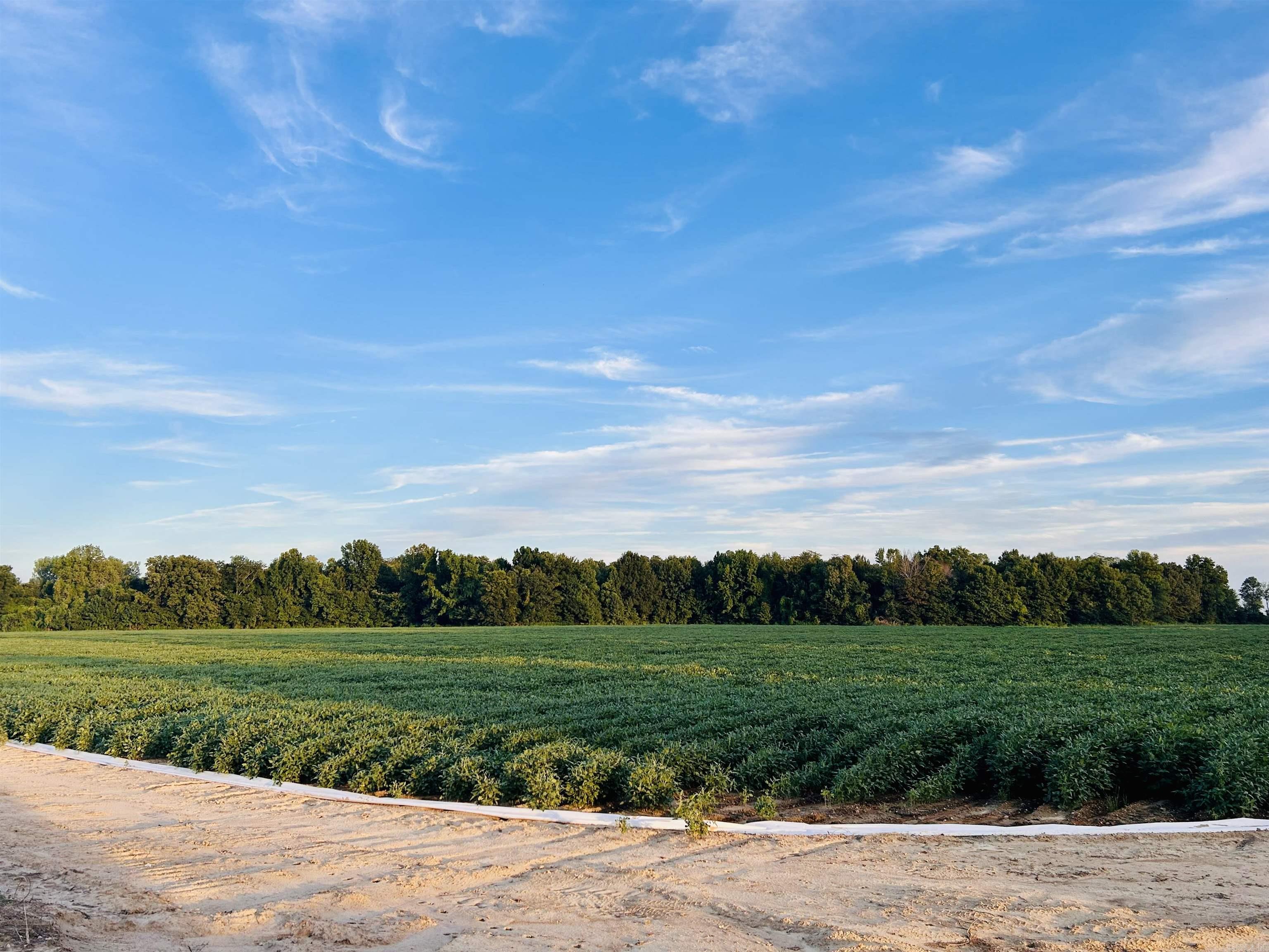 207 CR 478  Rector, AR