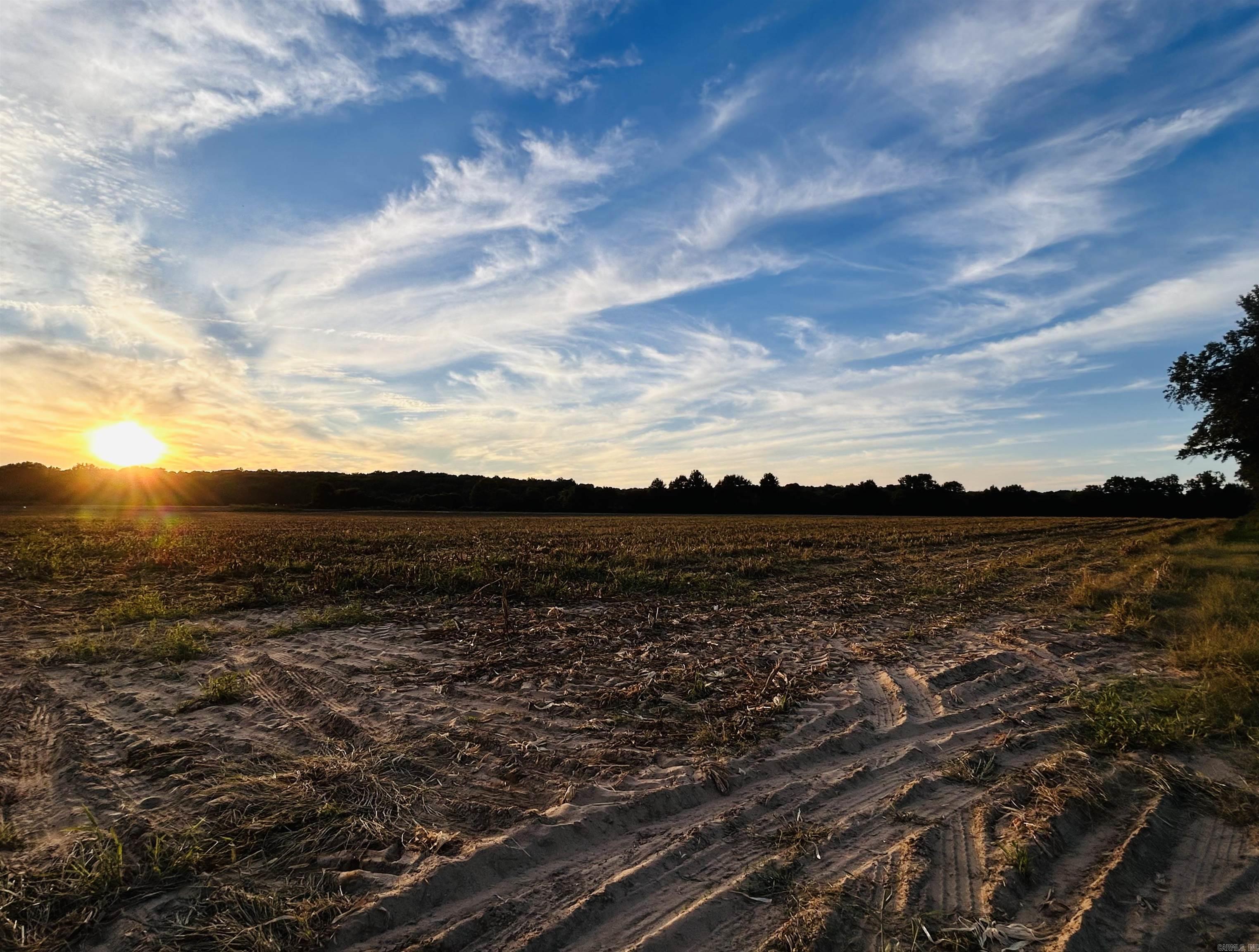 207 CR 478  Rector, AR