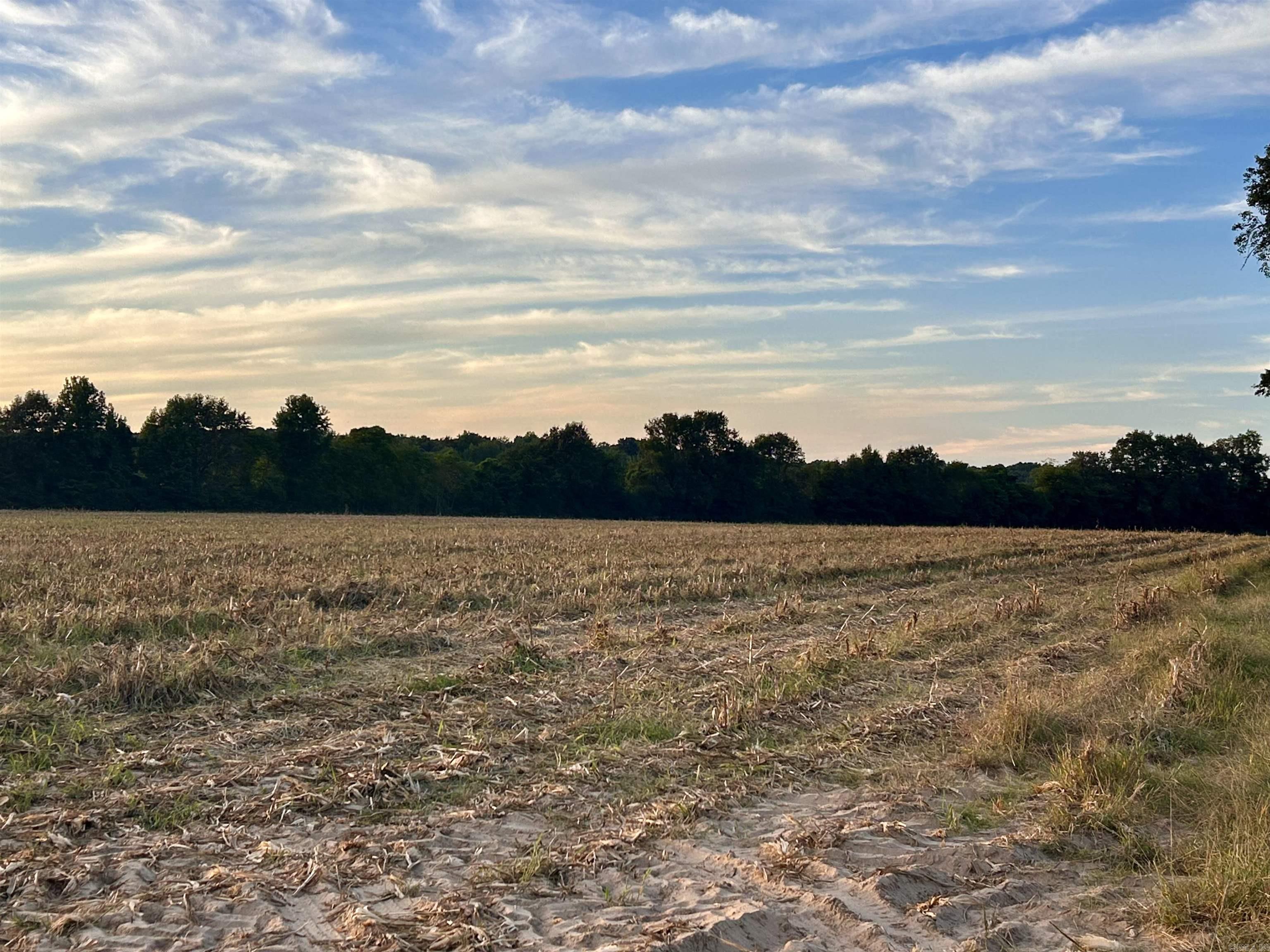 207 CR 478  Rector, AR