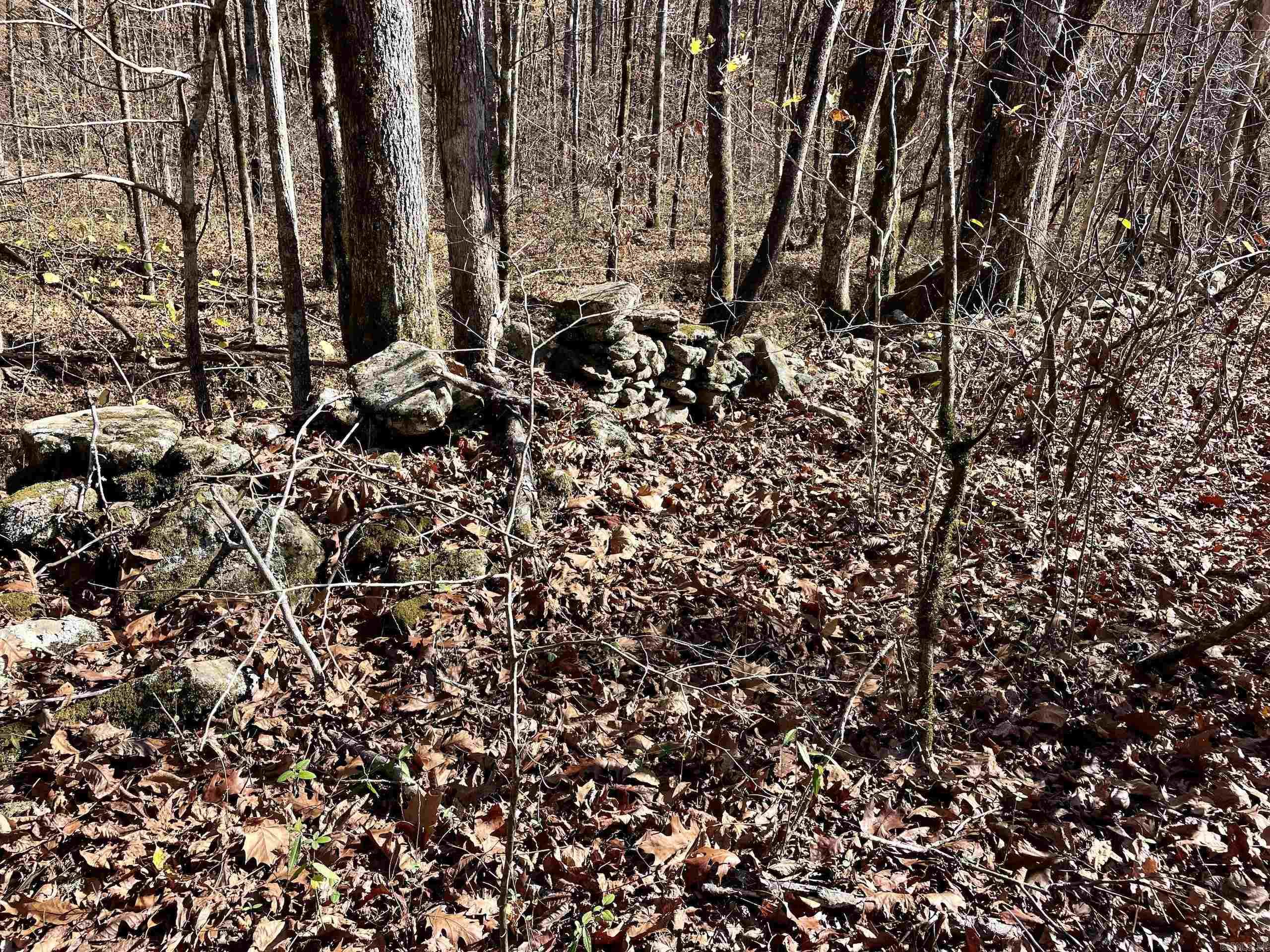 000 HWY 16 W  Clinton, AR