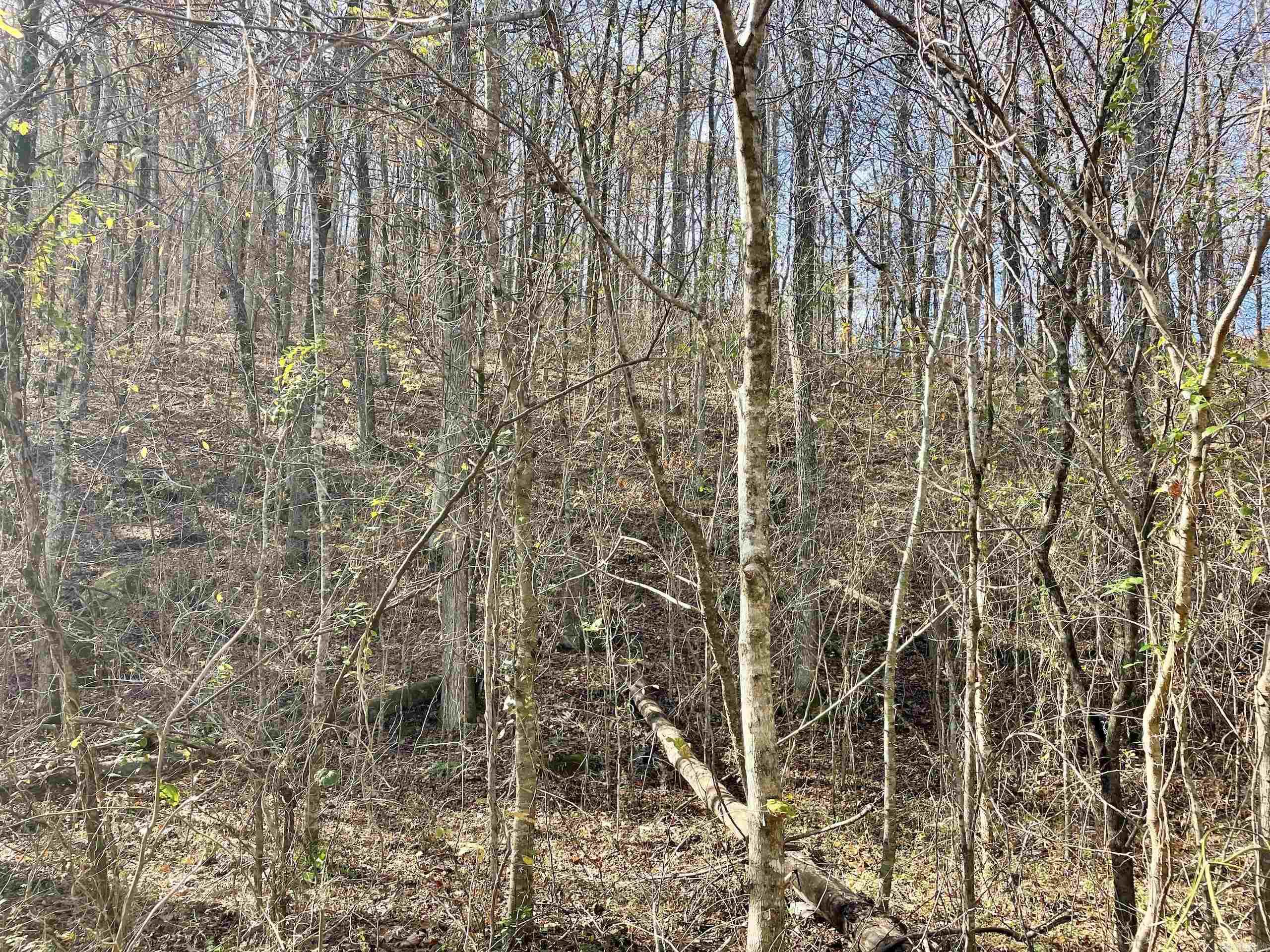 000 HWY 16 W  Clinton, AR