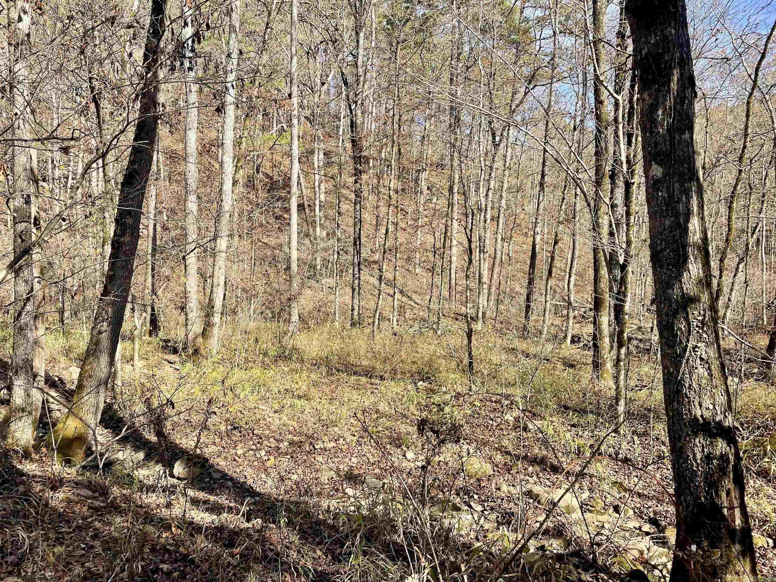 000 HWY 16 W  Clinton, AR