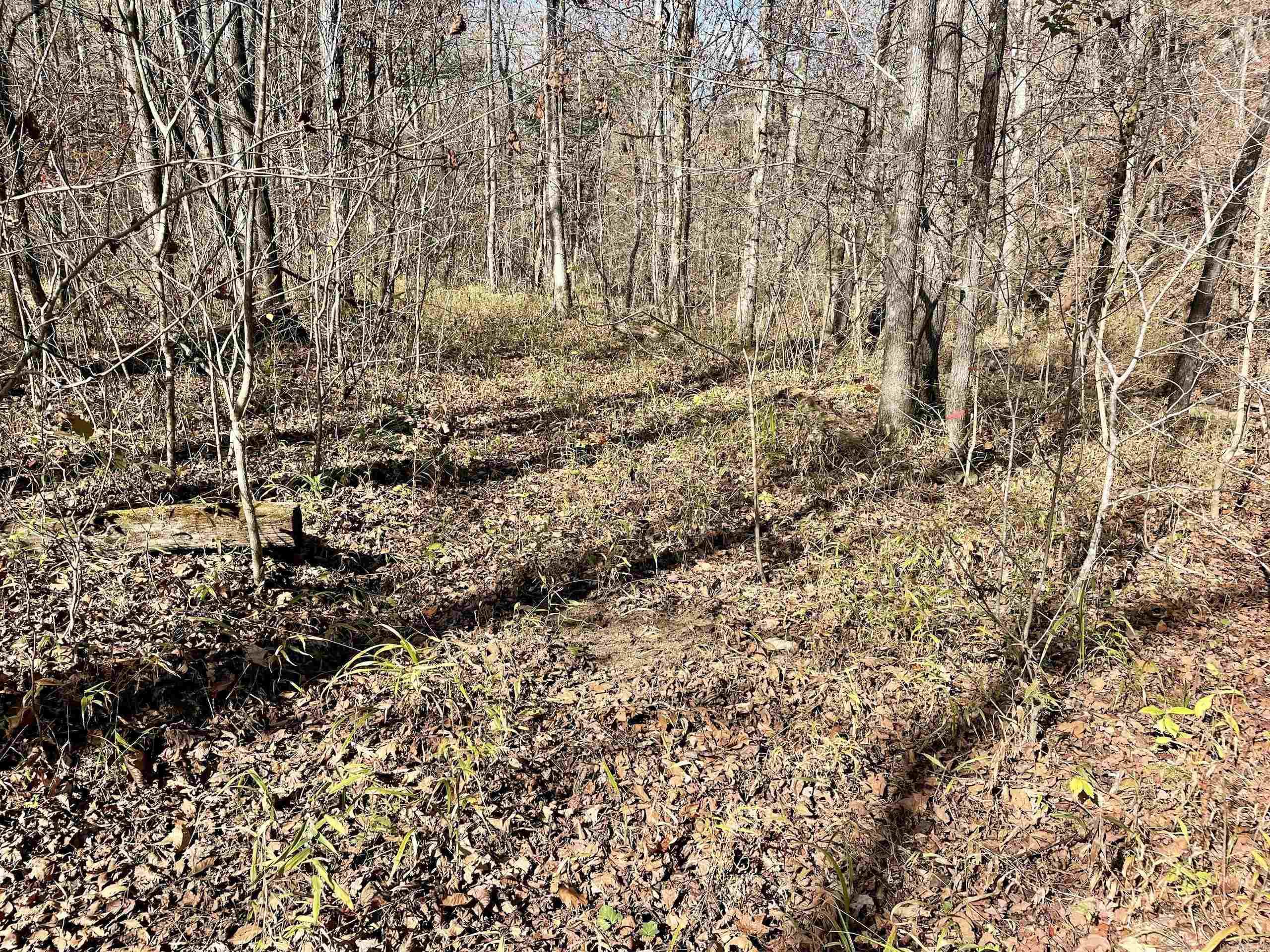 000 HWY 16 W  Clinton, AR