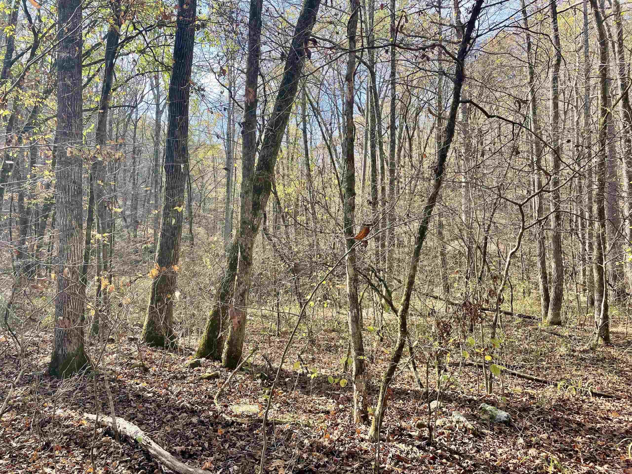 000 HWY 16 W  Clinton, AR