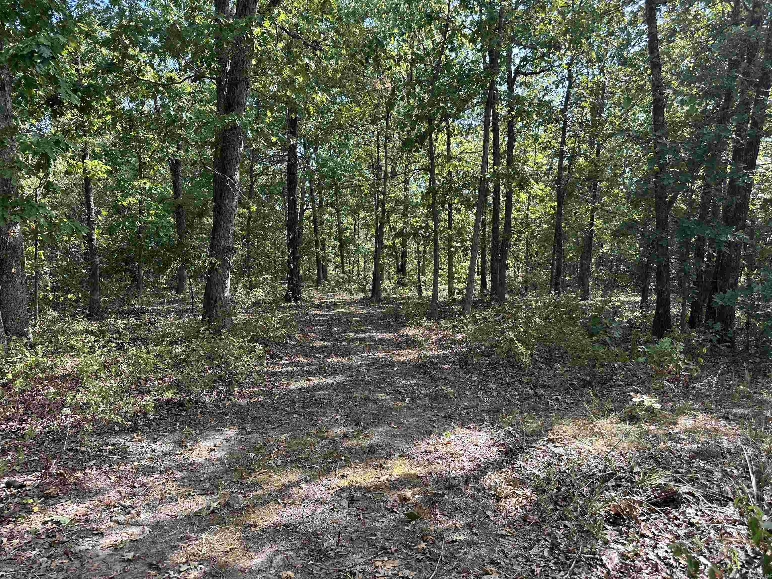 2215 AR Hwy 175 Mammoth Spring, AR 72554