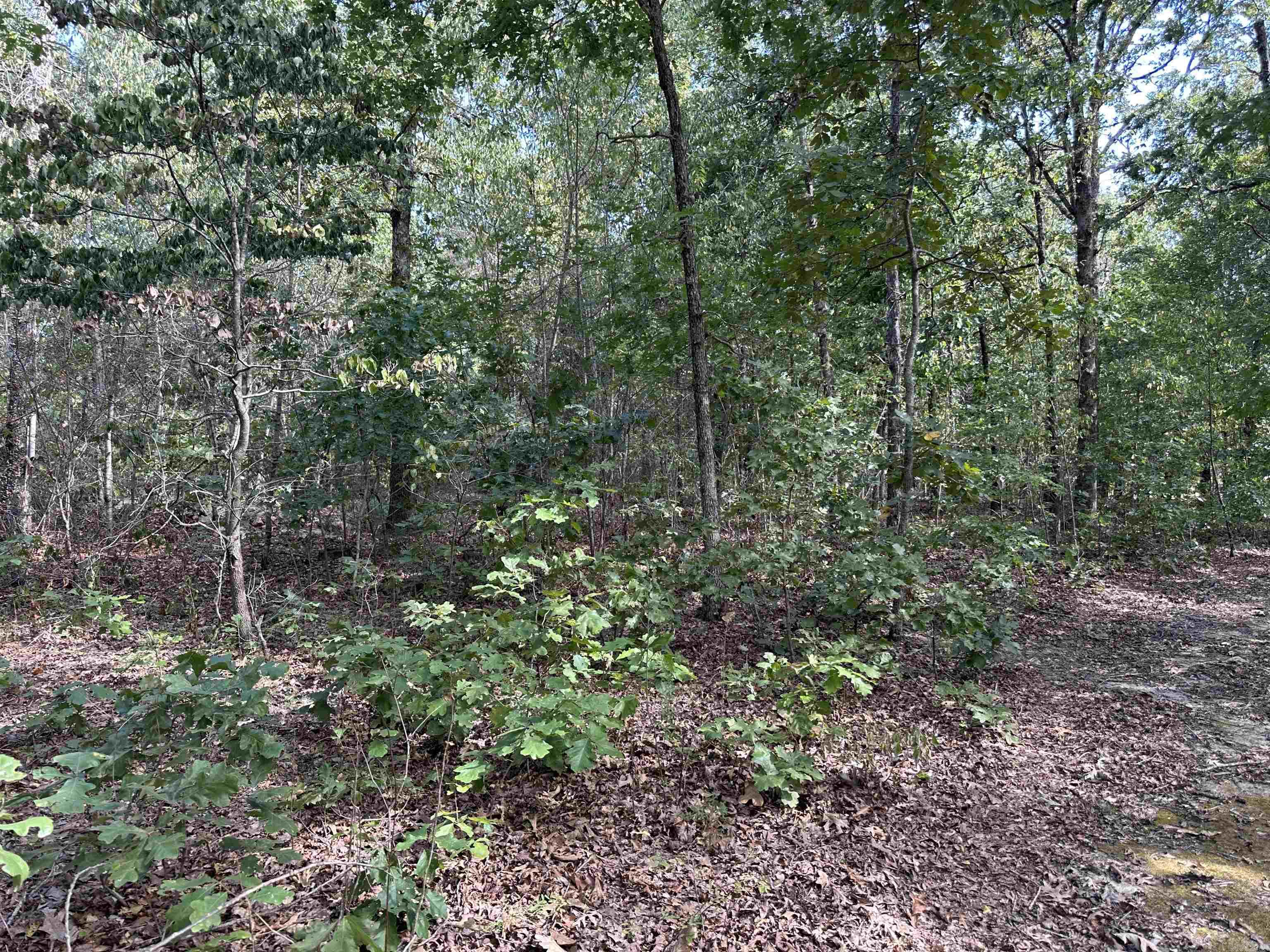 2215 AR Hwy 175 Mammoth Spring, AR 72554