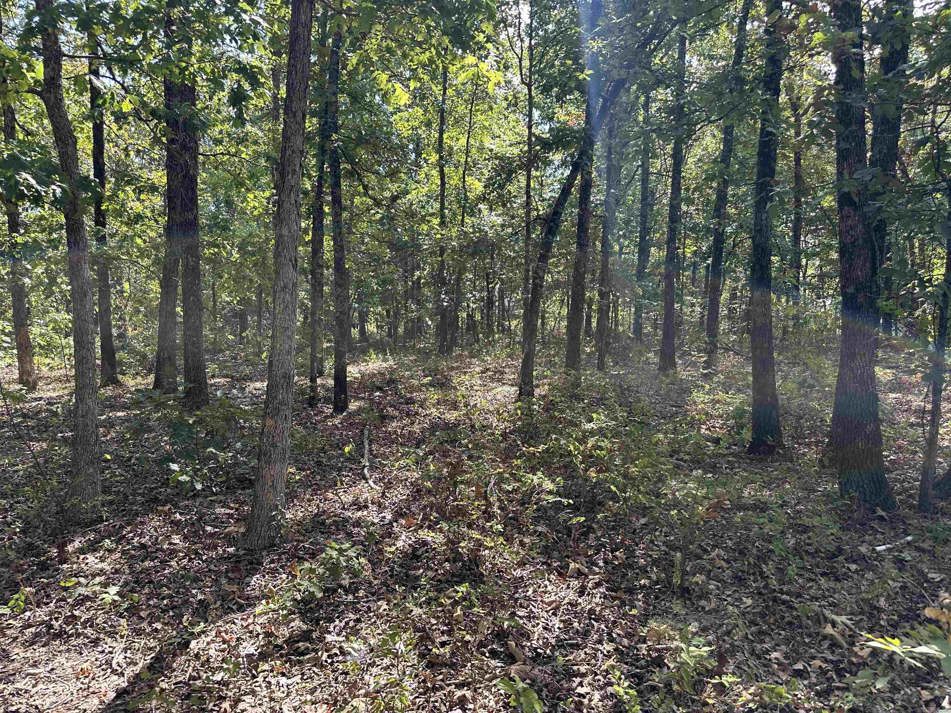 2215 AR Hwy 175 Mammoth Spring, AR 72554