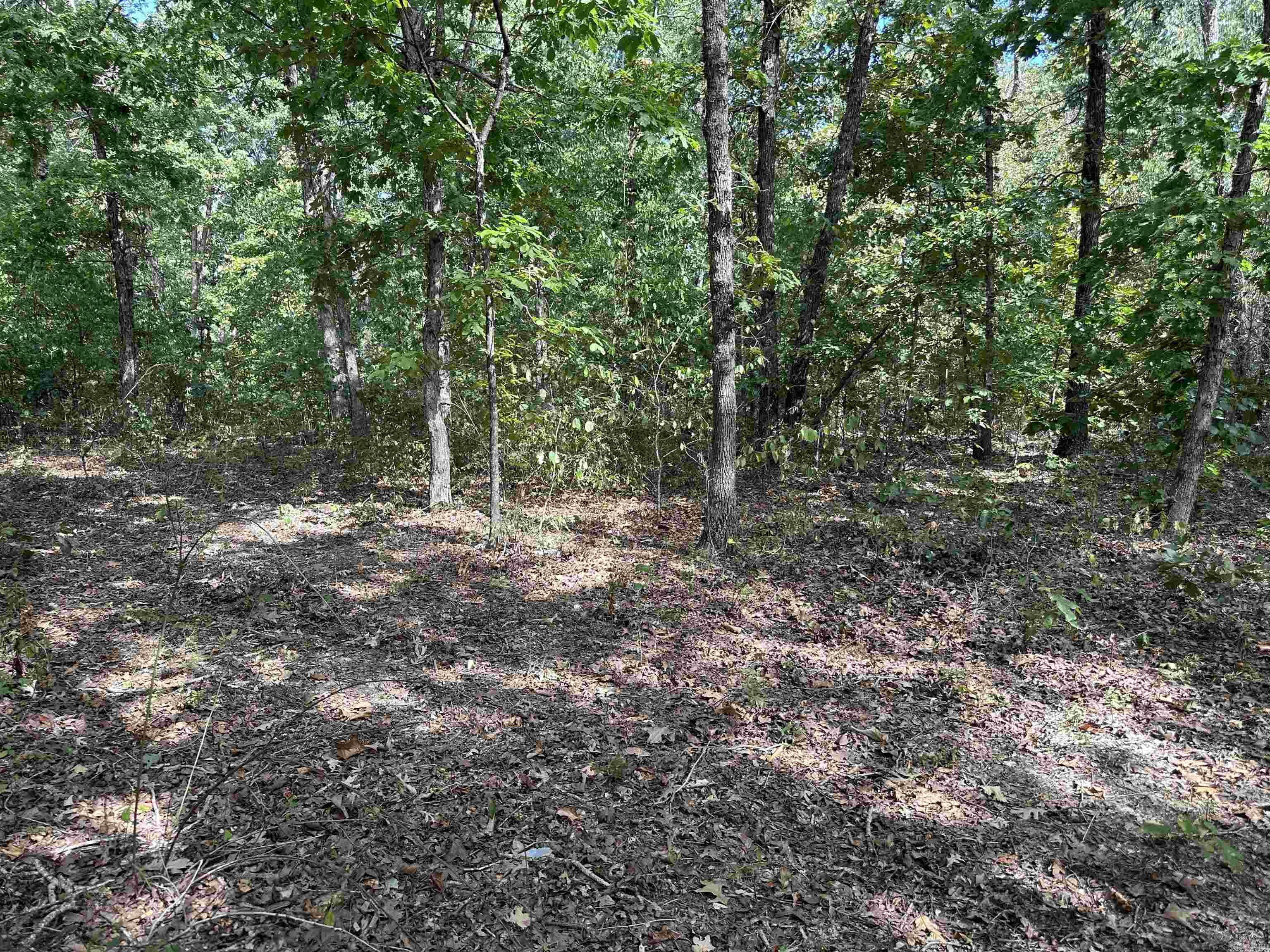 2215 AR Hwy 175 Mammoth Spring, AR 72554