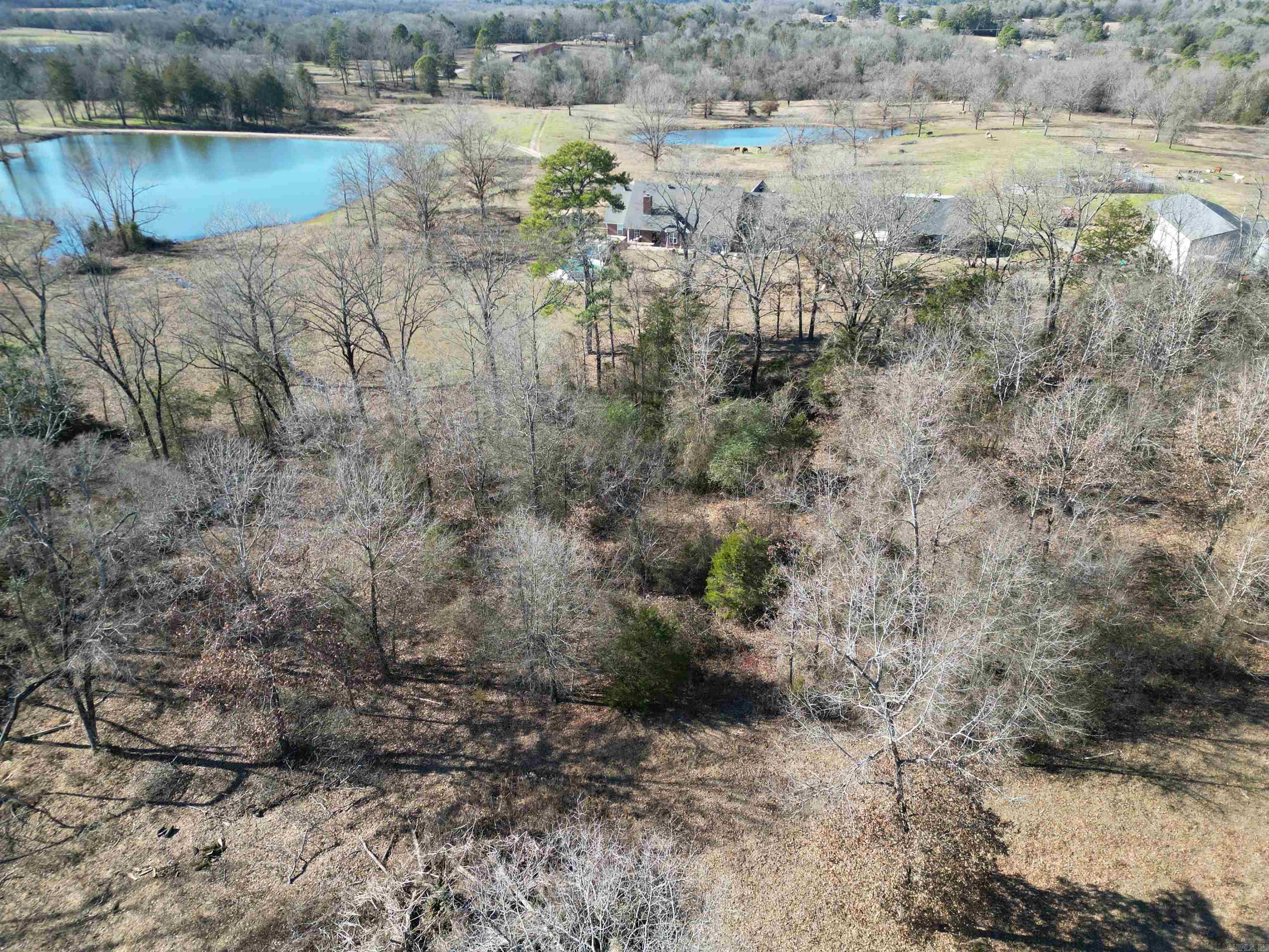 4487 HWY 95  Cleveland, AR