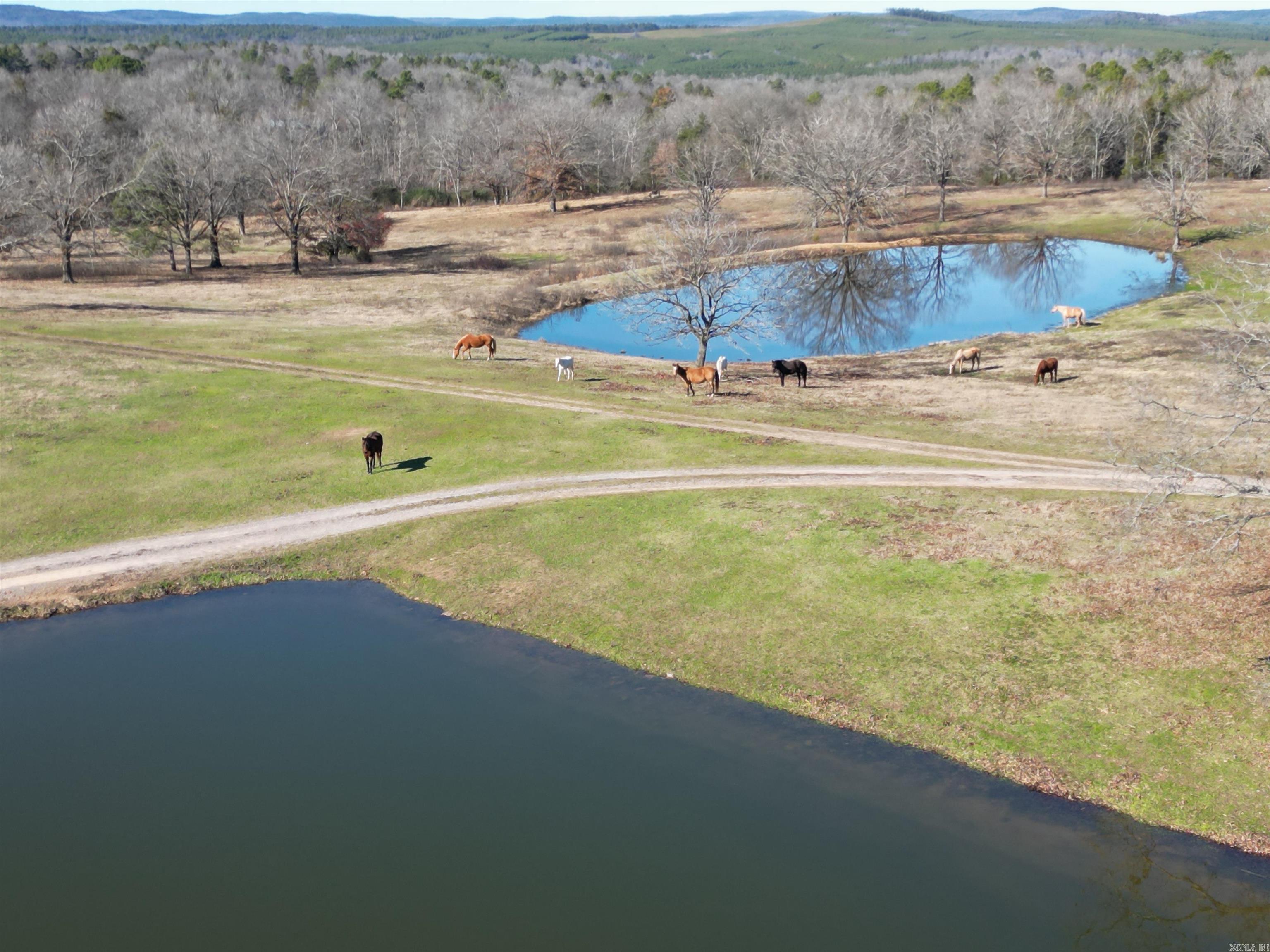 4487 HWY 95  Cleveland, AR