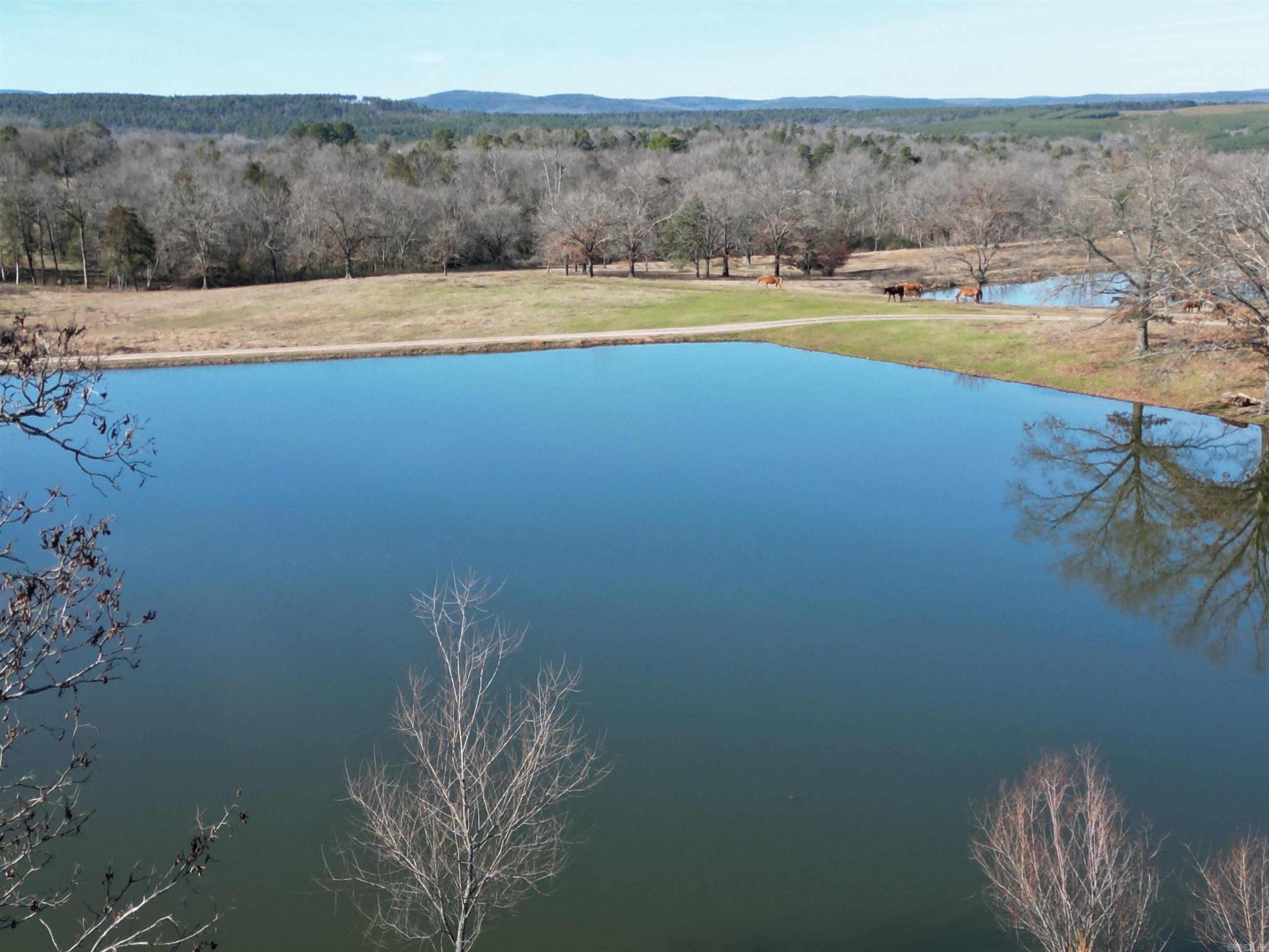 4487 HWY 95  Cleveland, AR