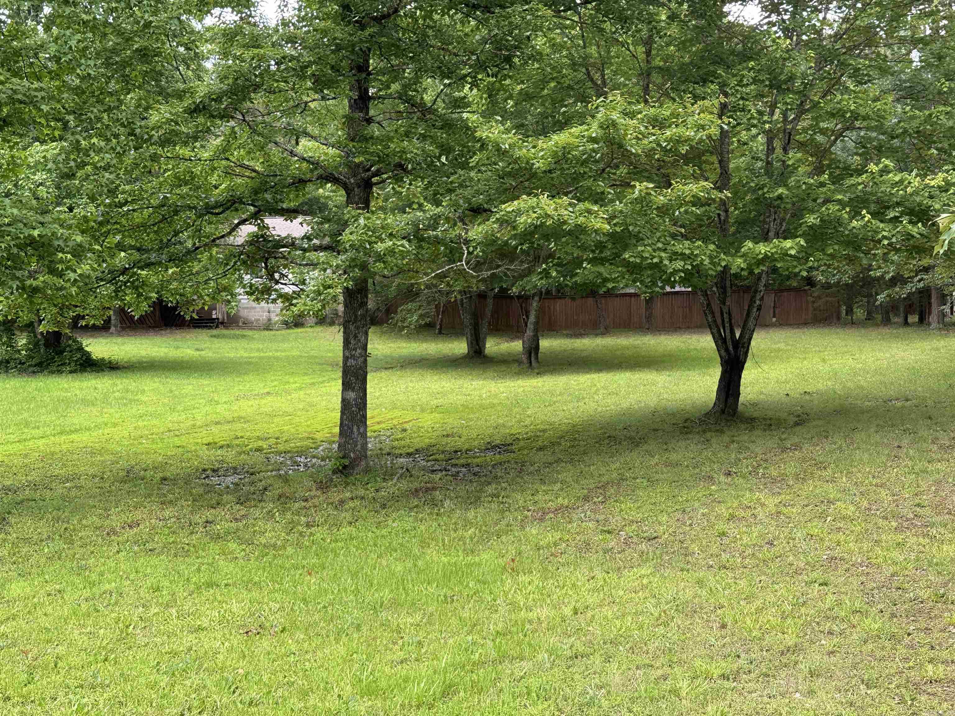 41 Dogwood  Higden, AR