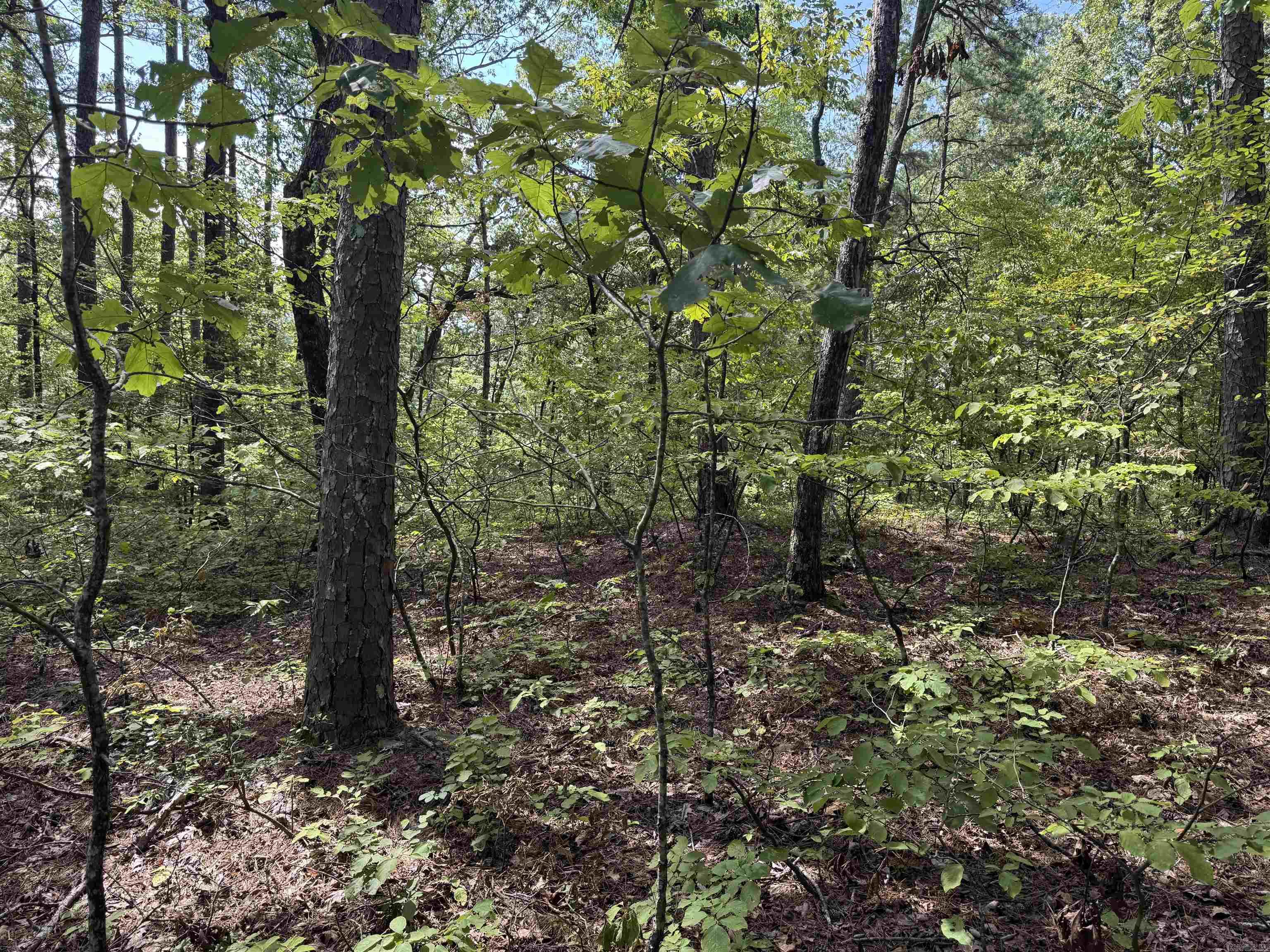 00 Jacote  Hot Springs Village, AR