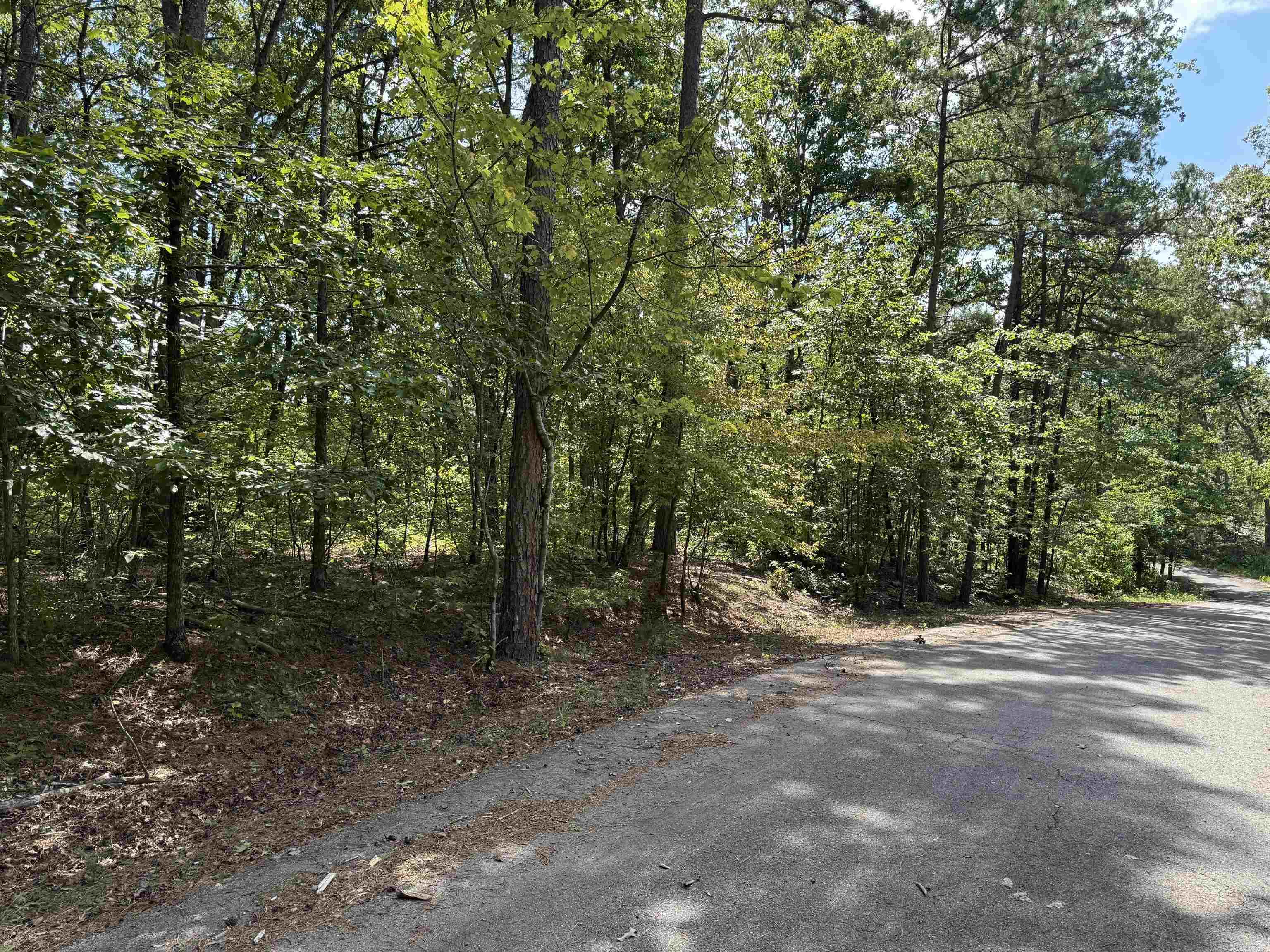 00 Jacote  Hot Springs Village, AR