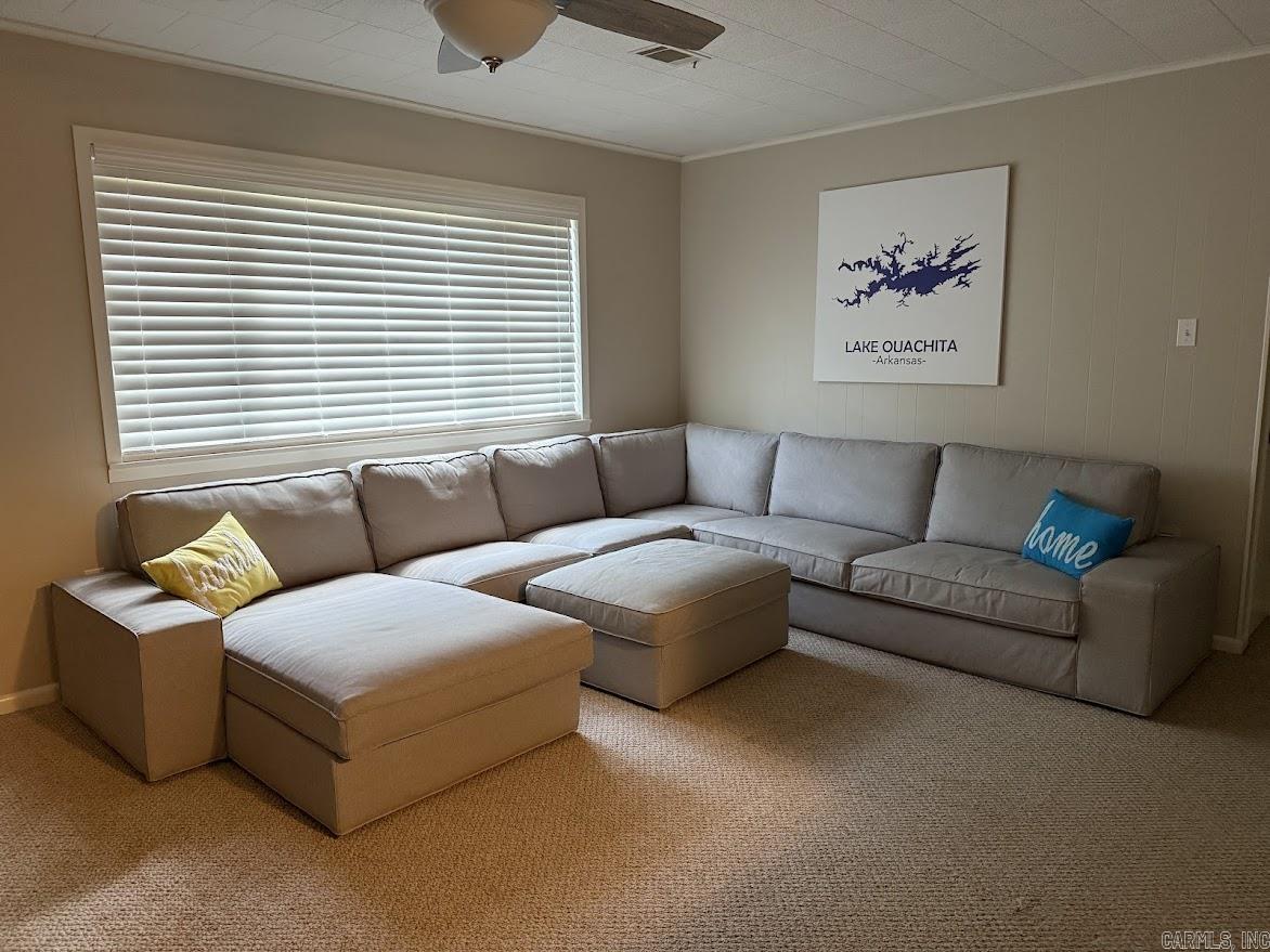 89 Bearce  Mount Ida, AR