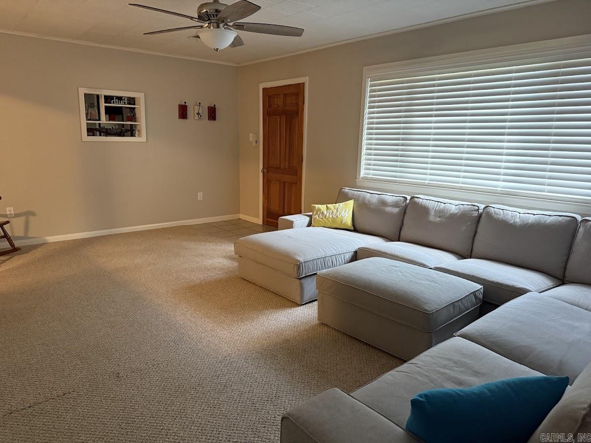 89 Bearce  Mount Ida, AR