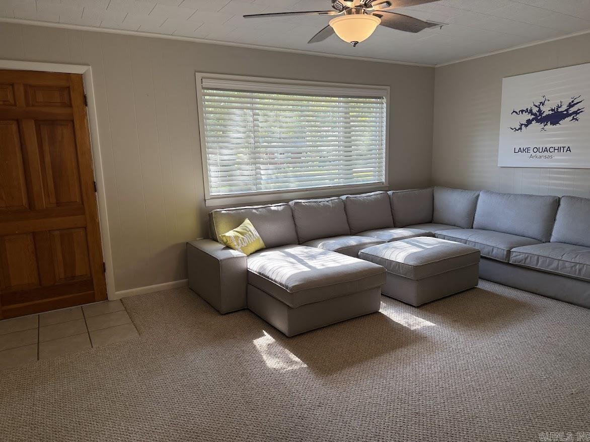 89 Bearce  Mount Ida, AR