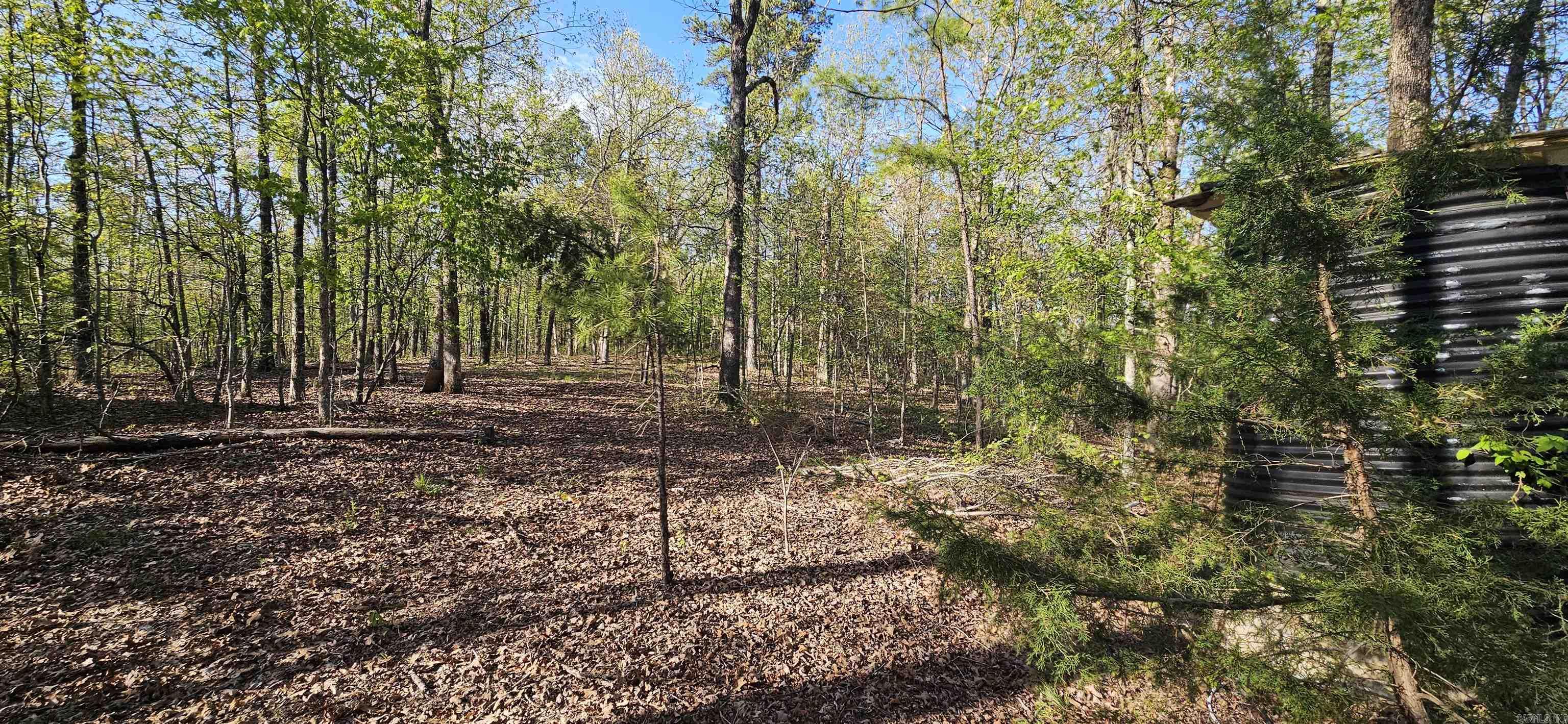 645 Chimney Rock road  Shirley, AR