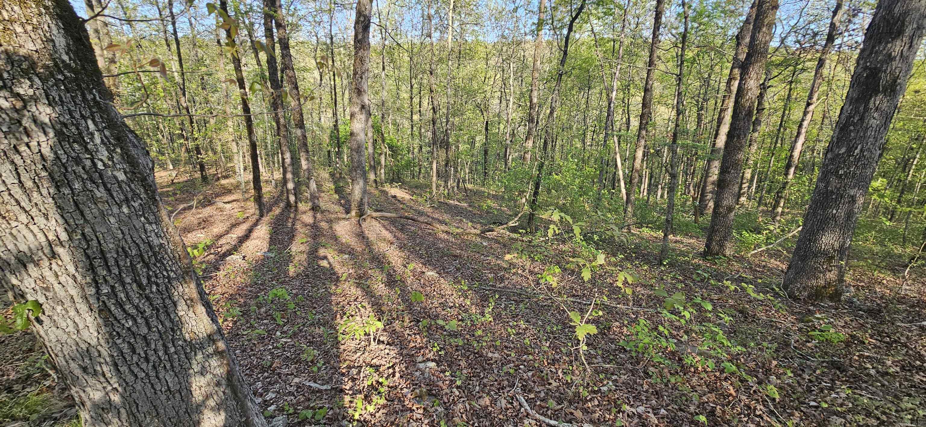 645 Chimney Rock road  Shirley, AR