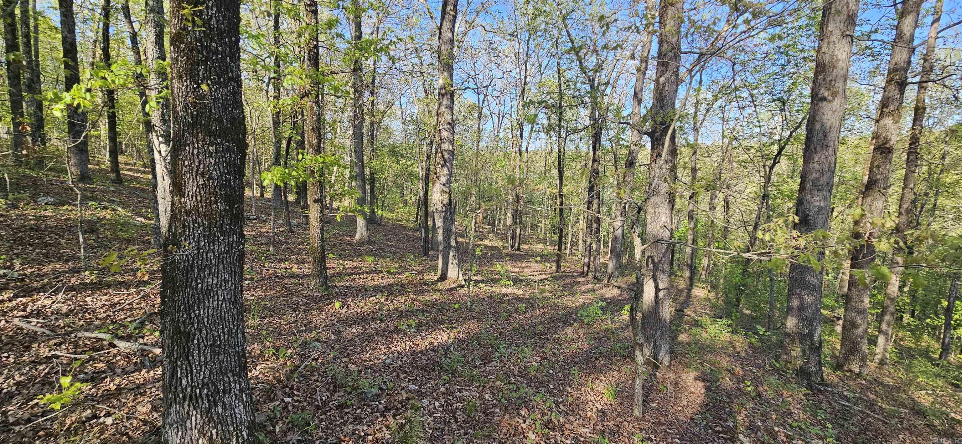 645 Chimney Rock road  Shirley, AR