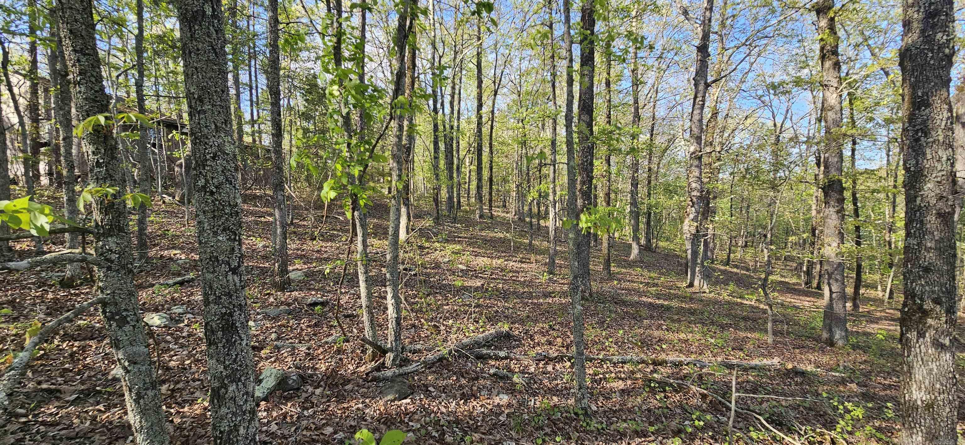 645 Chimney Rock road  Shirley, AR