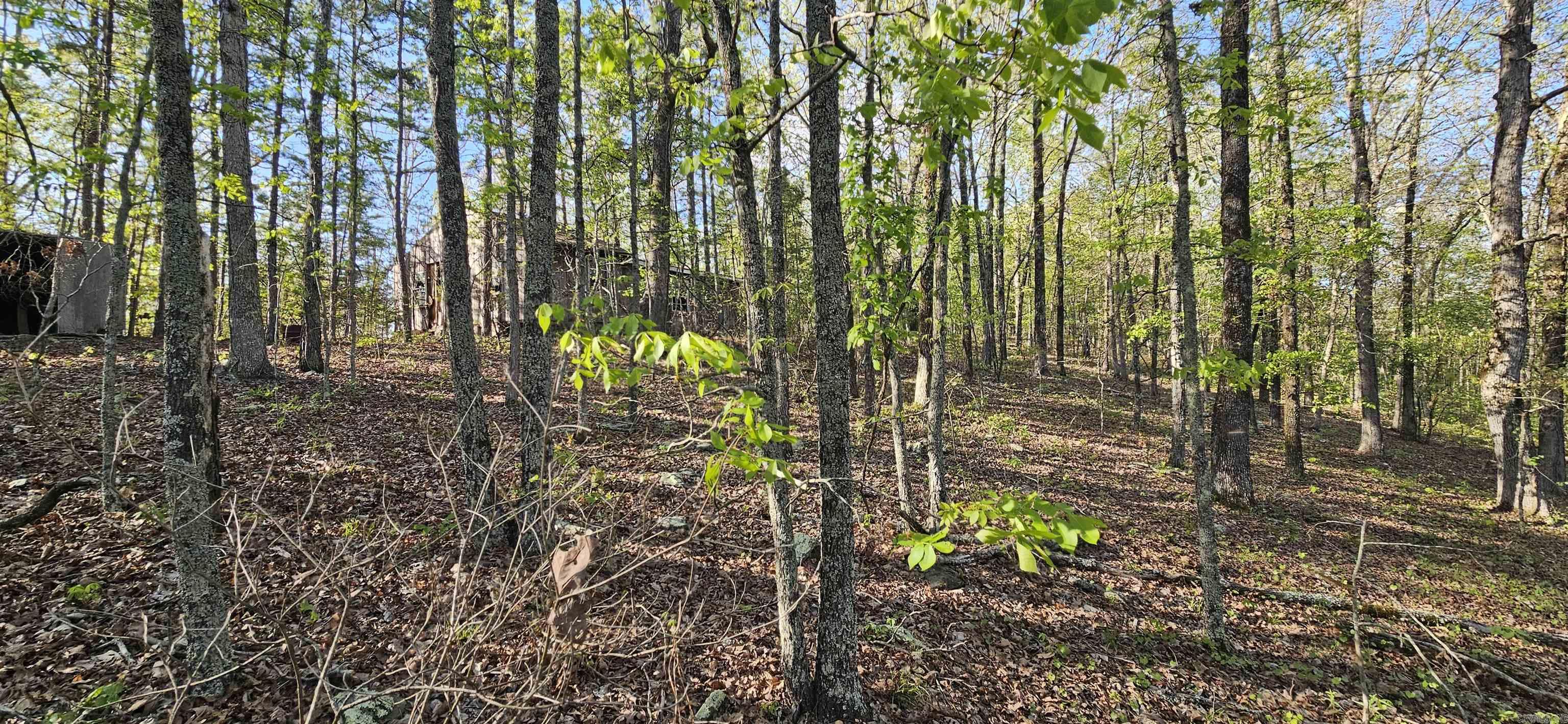 645 Chimney Rock road  Shirley, AR