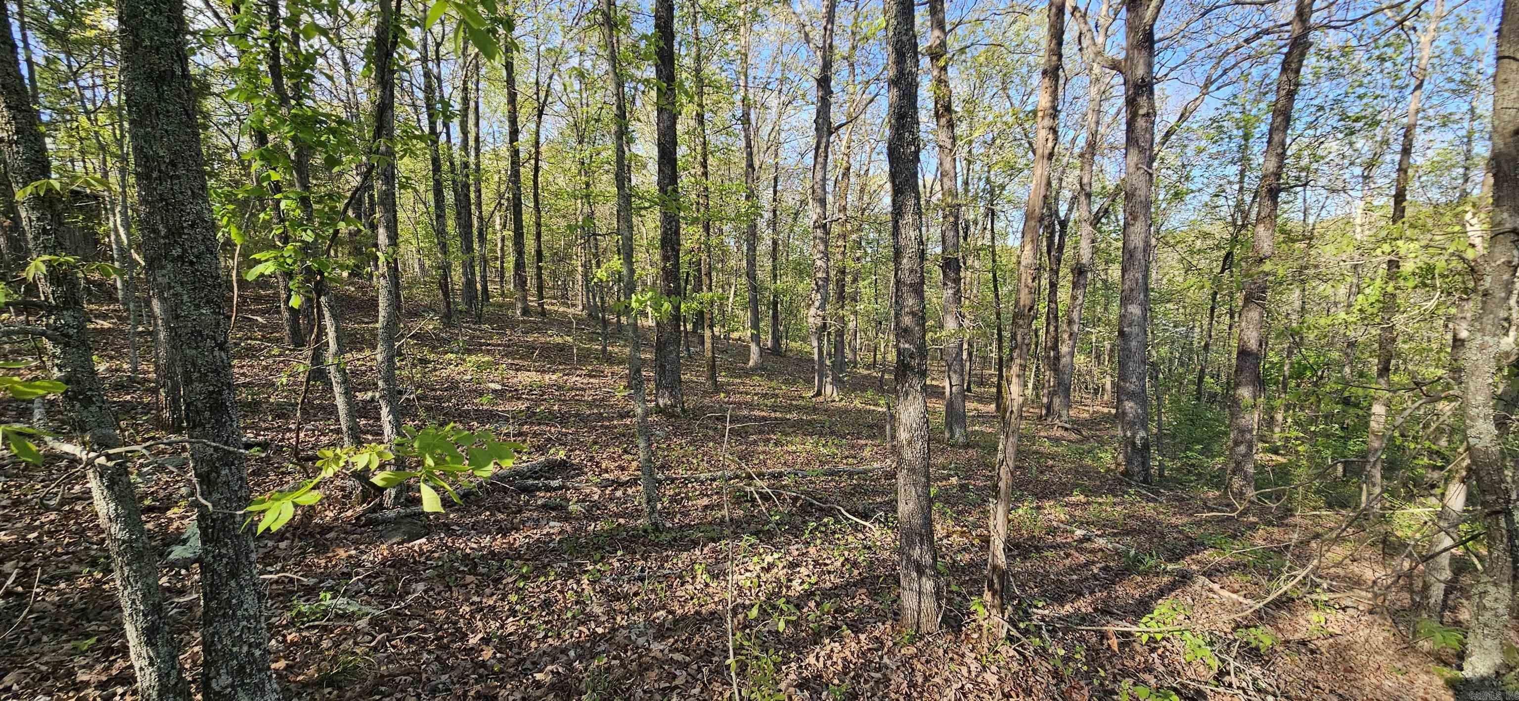 645 Chimney Rock road  Shirley, AR