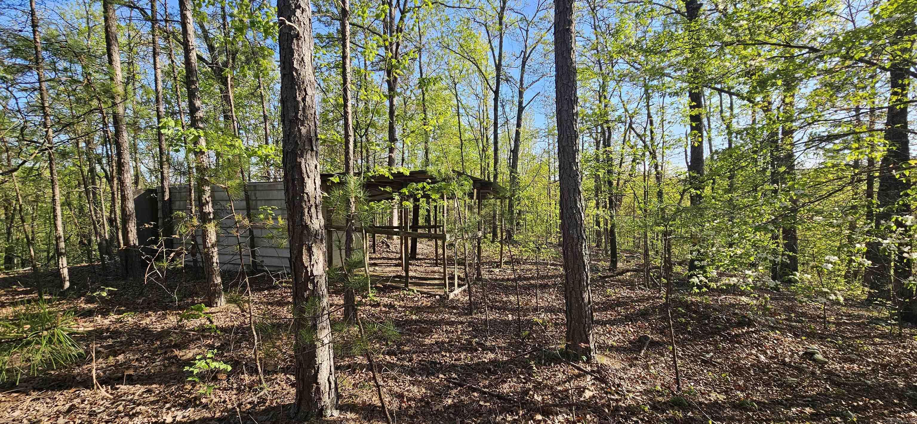 645 Chimney Rock road  Shirley, AR