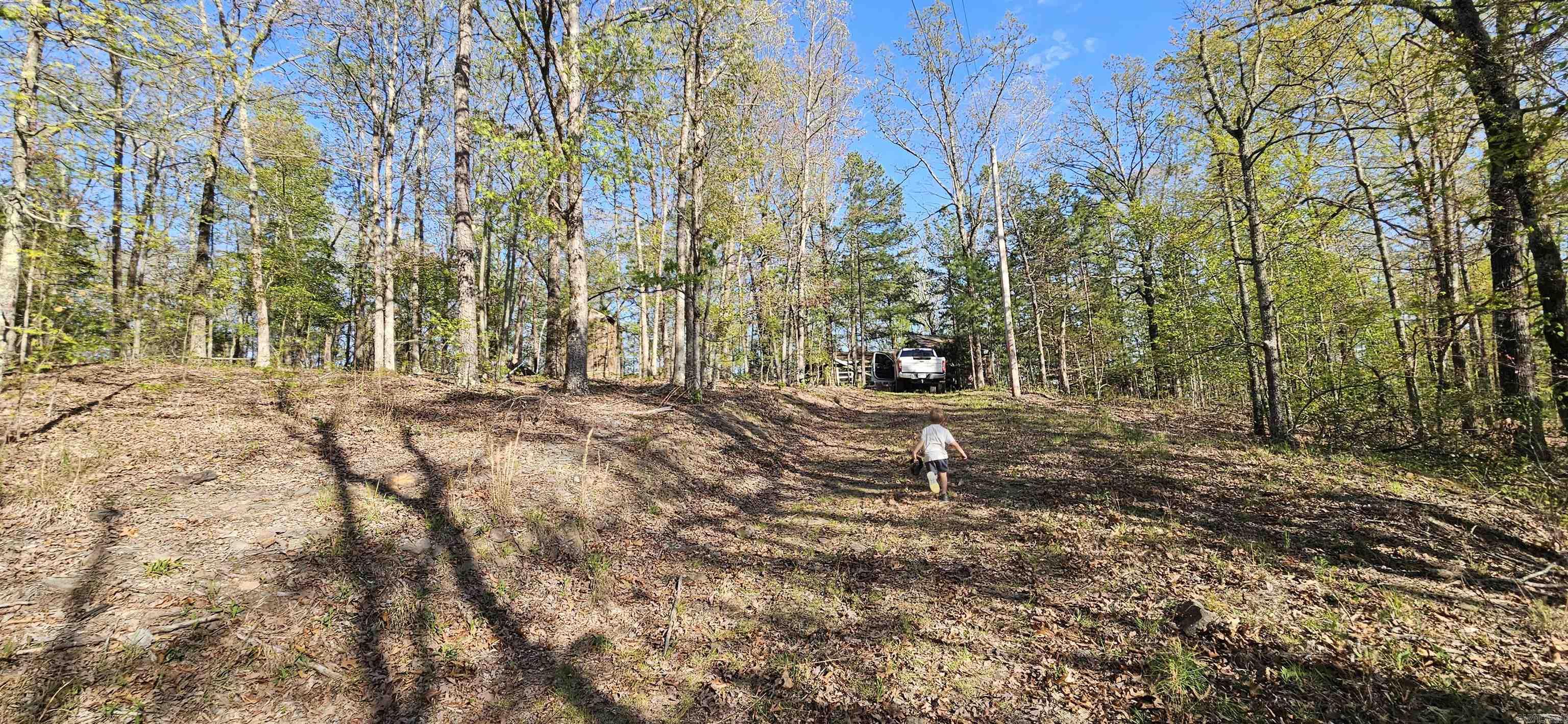 645 Chimney Rock road  Shirley, AR