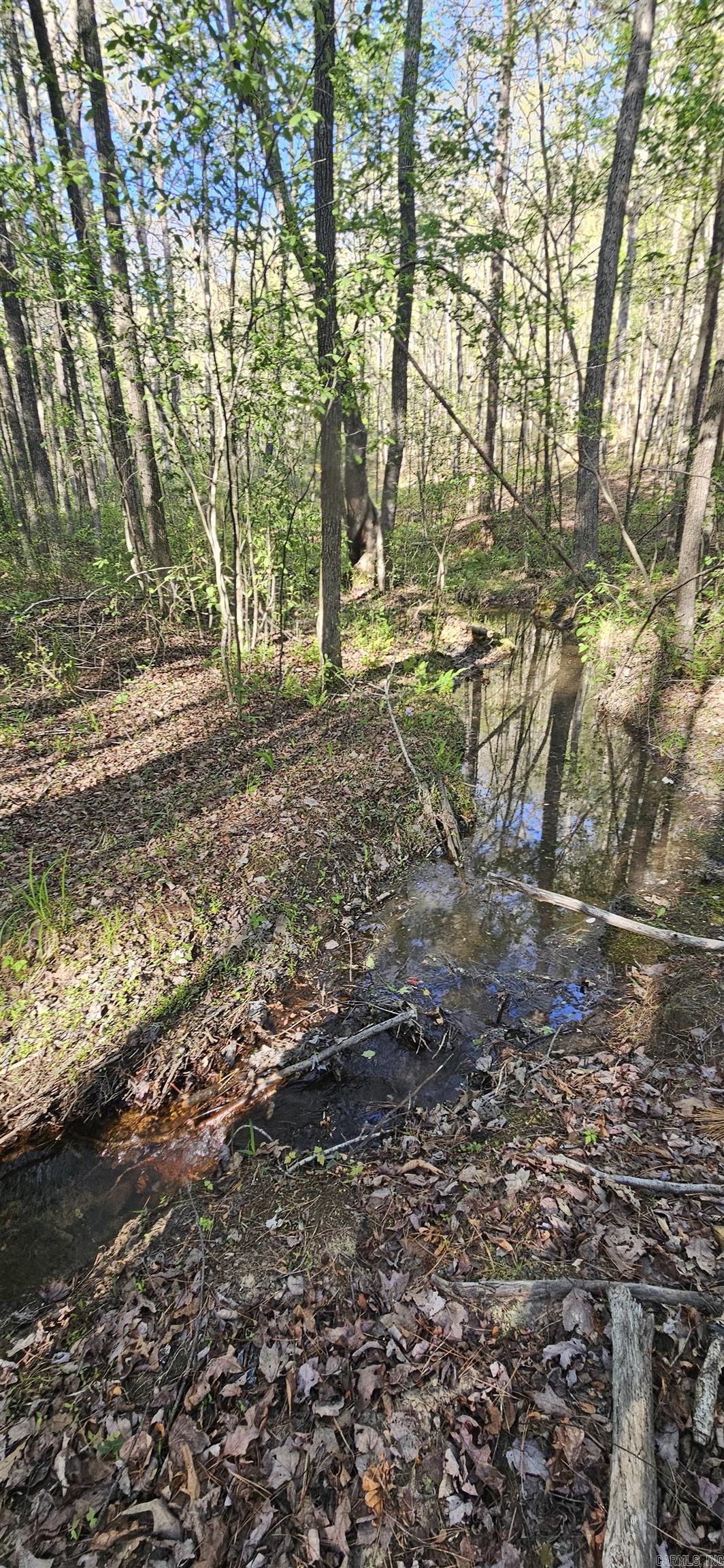 645 Chimney Rock road  Shirley, AR