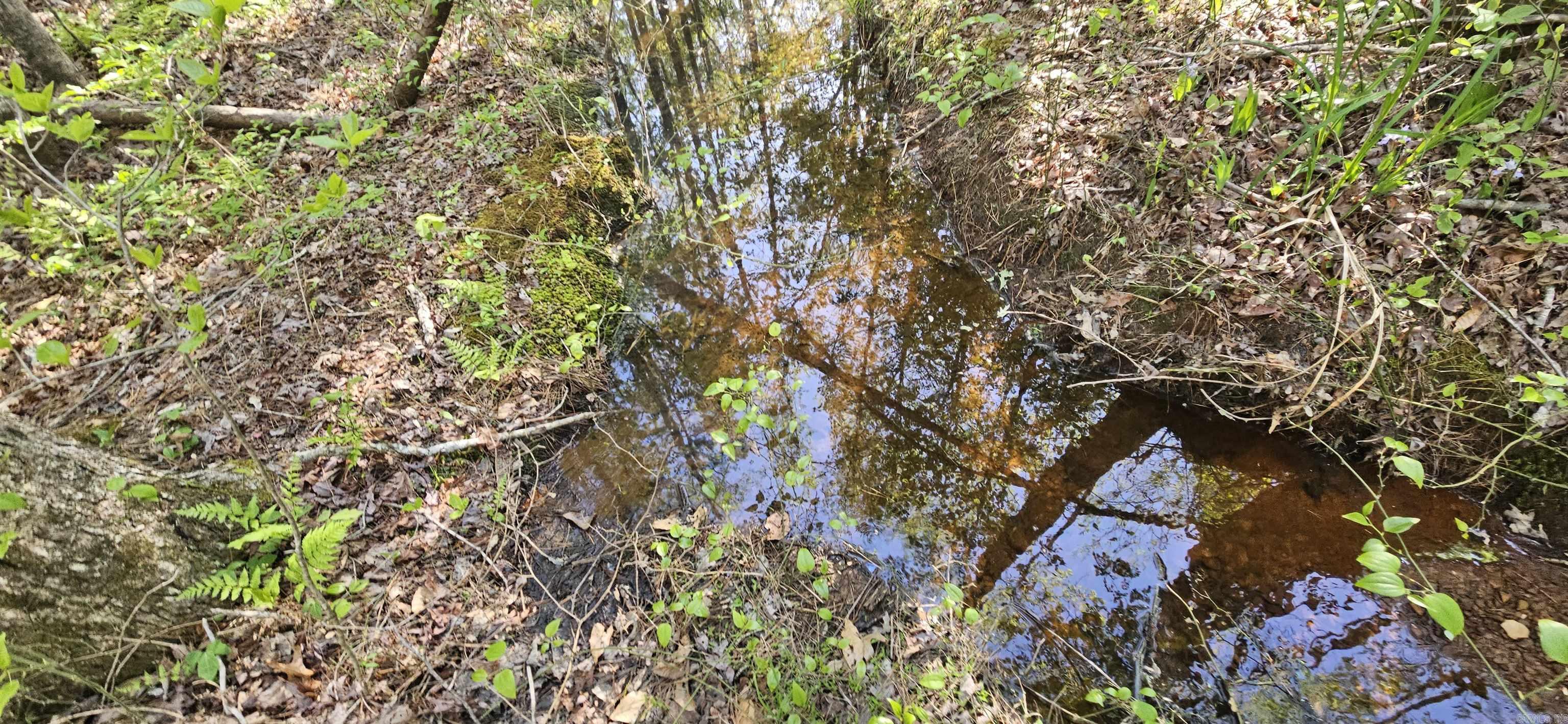 645 Chimney Rock road  Shirley, AR