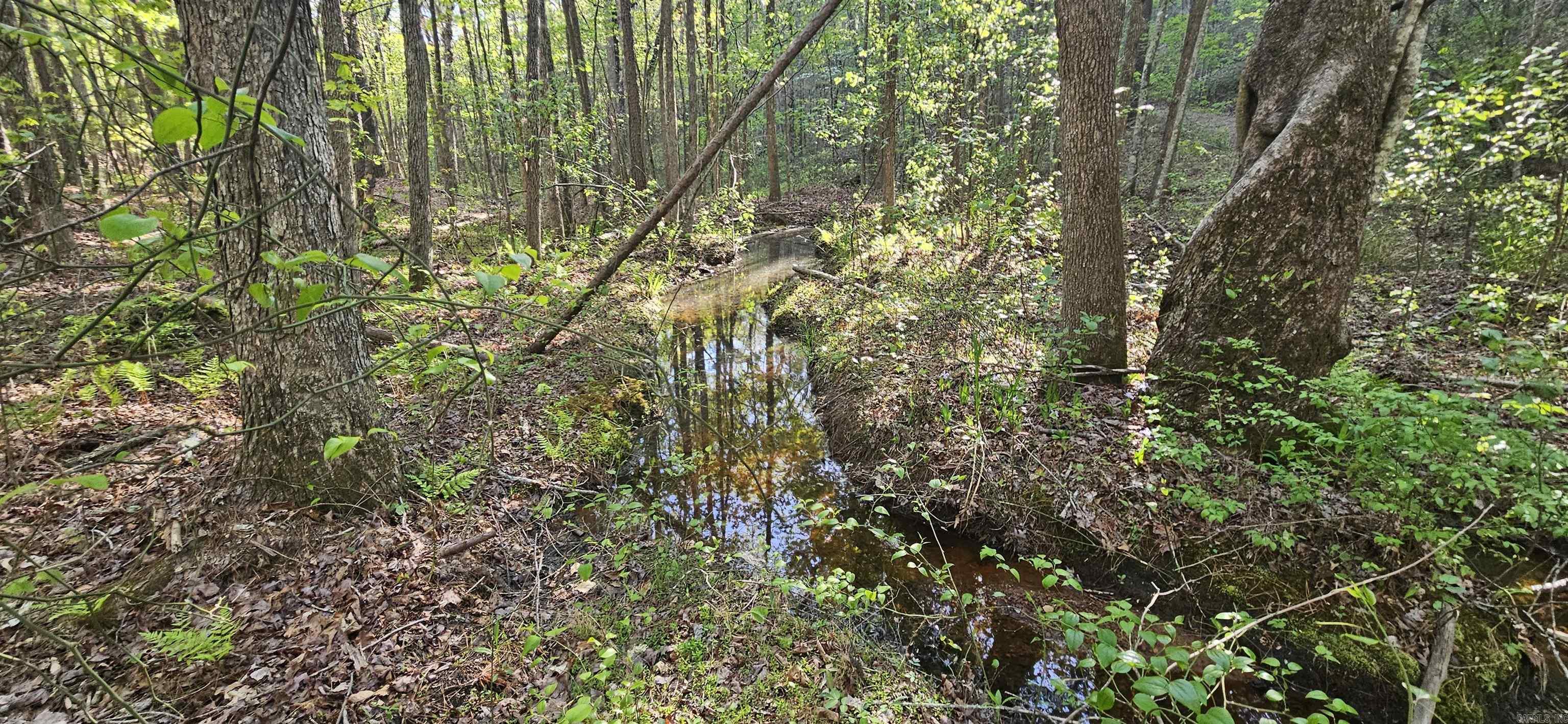 645 Chimney Rock road  Shirley, AR