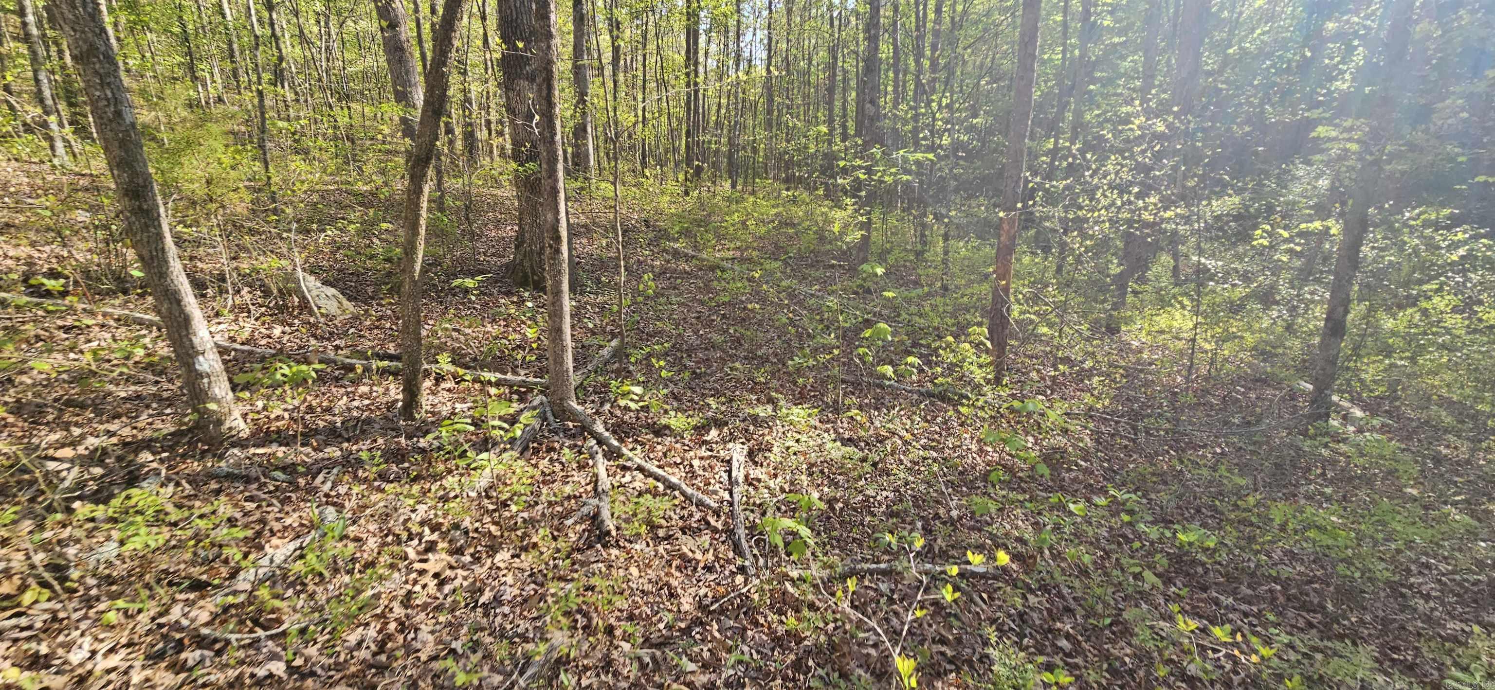 645 Chimney Rock road  Shirley, AR