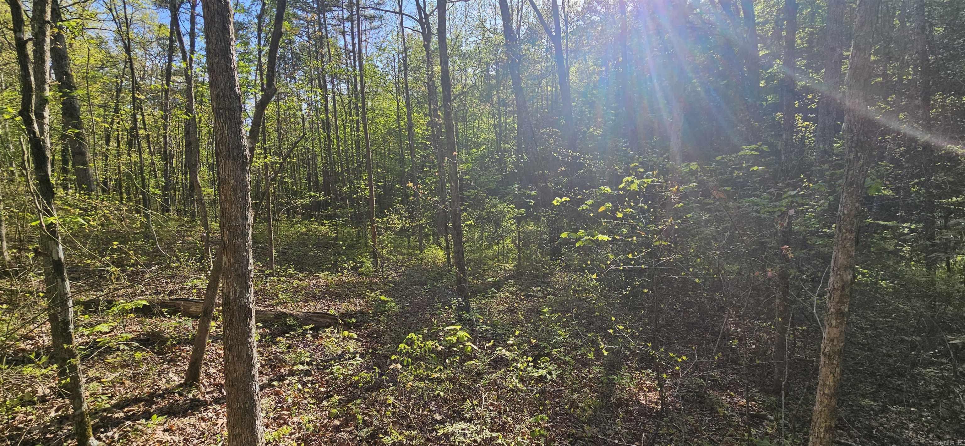 645 Chimney Rock road  Shirley, AR