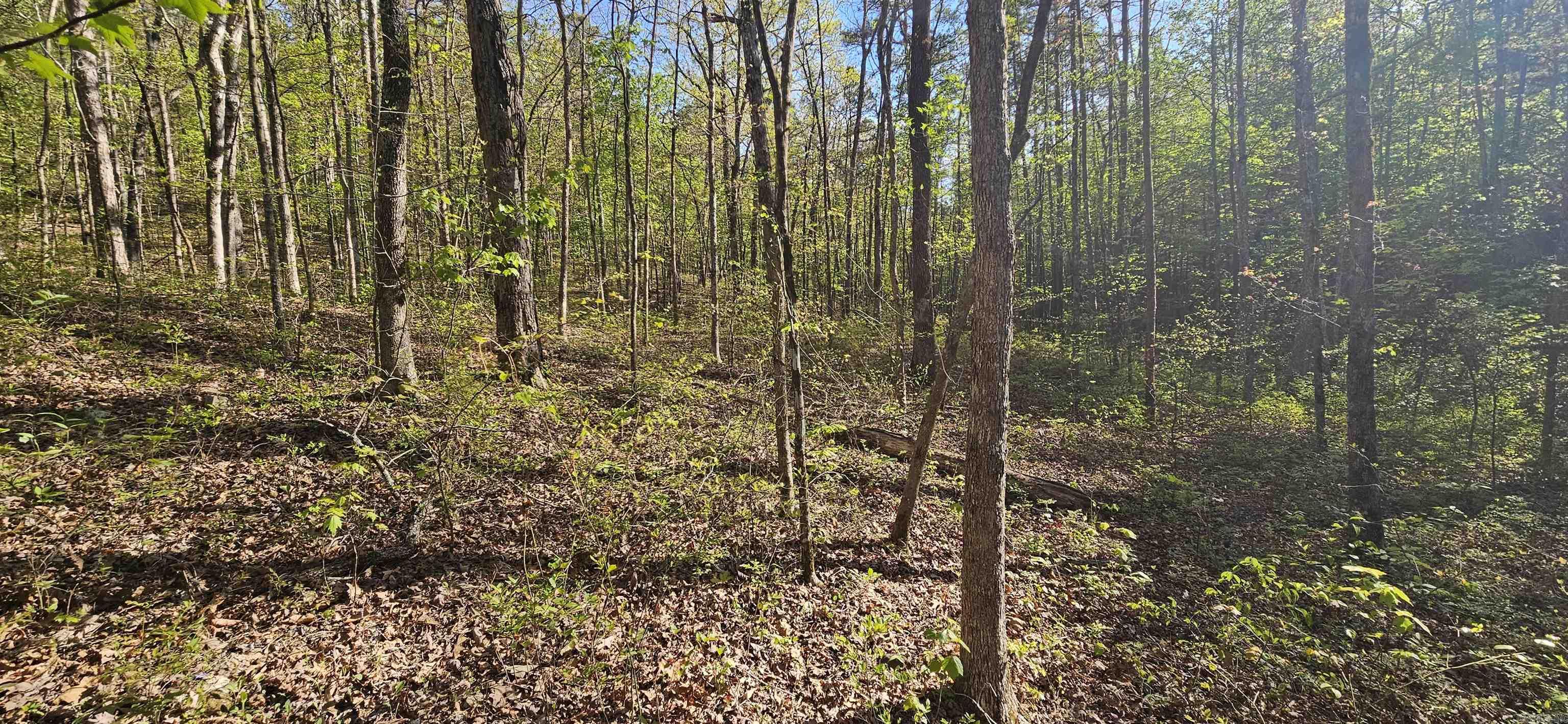 645 Chimney Rock road  Shirley, AR