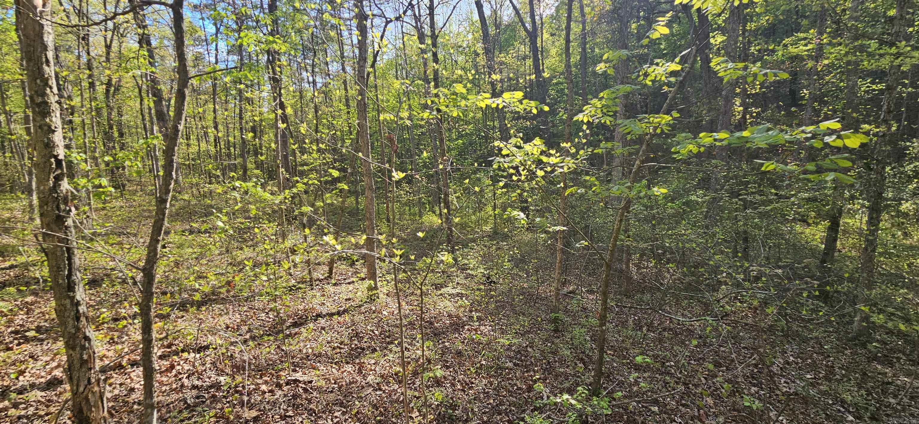 645 Chimney Rock road  Shirley, AR