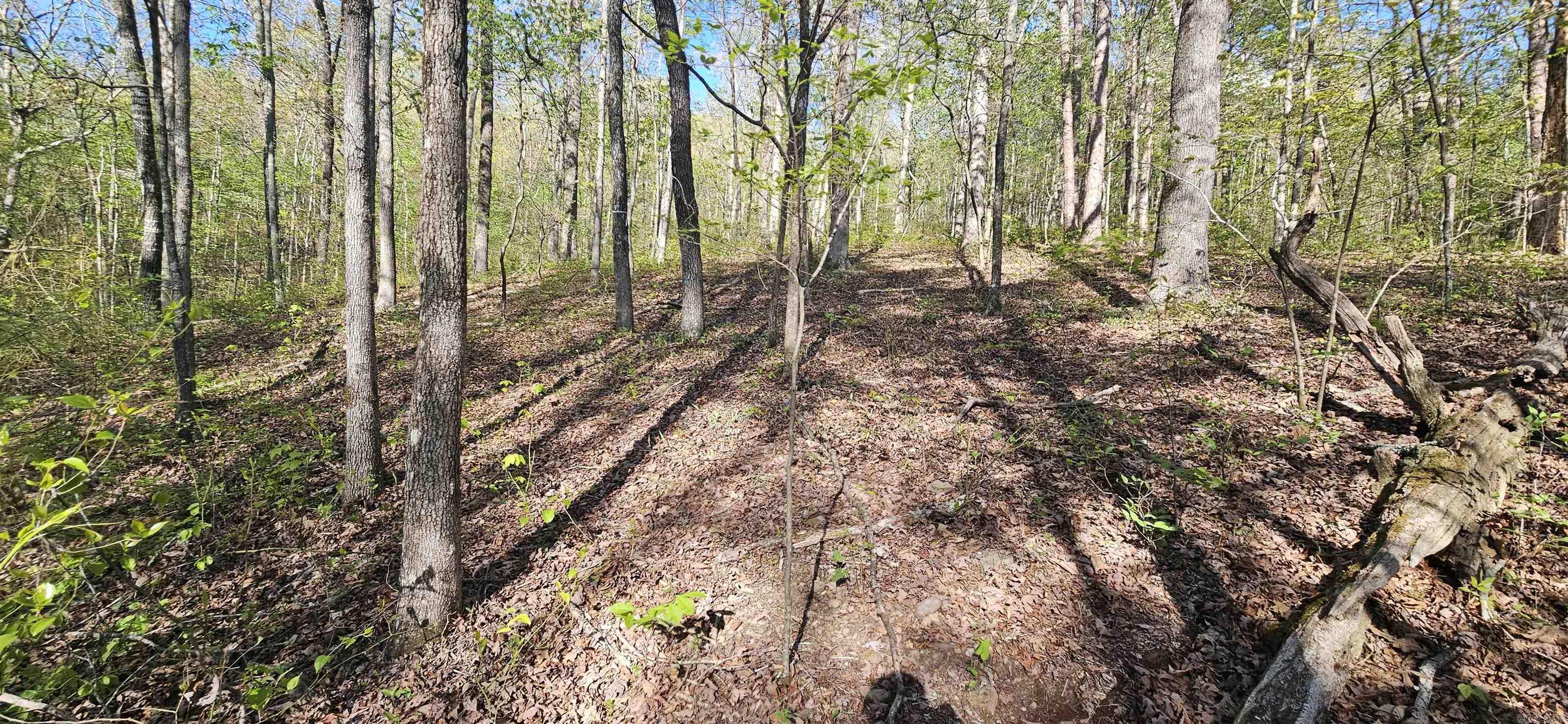 645 Chimney Rock road  Shirley, AR