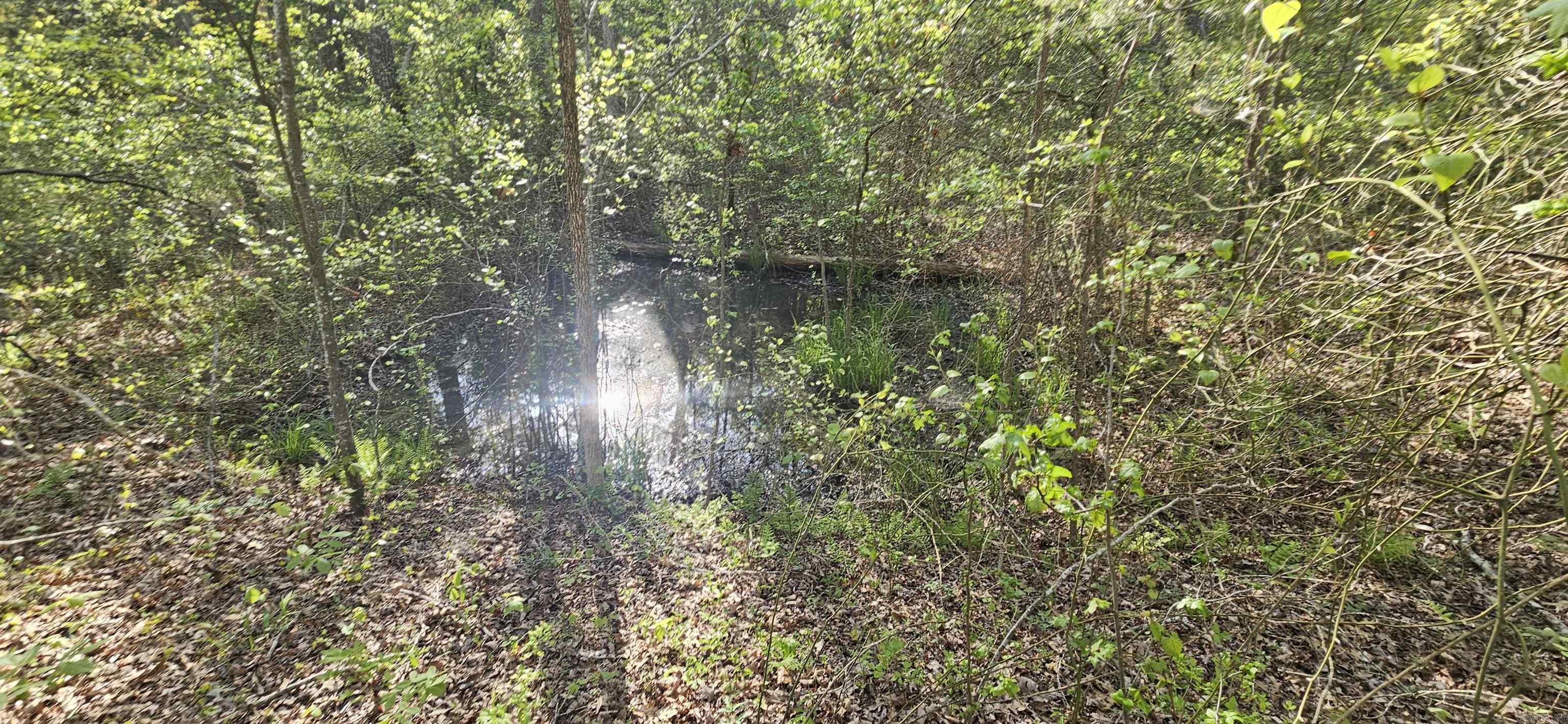 645 Chimney Rock road  Shirley, AR