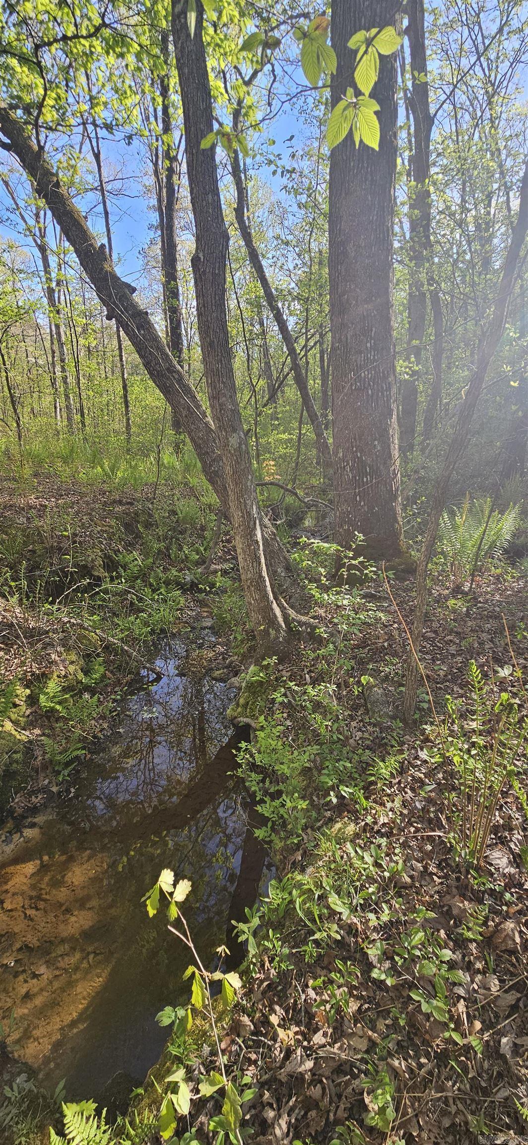 645 Chimney Rock road  Shirley, AR